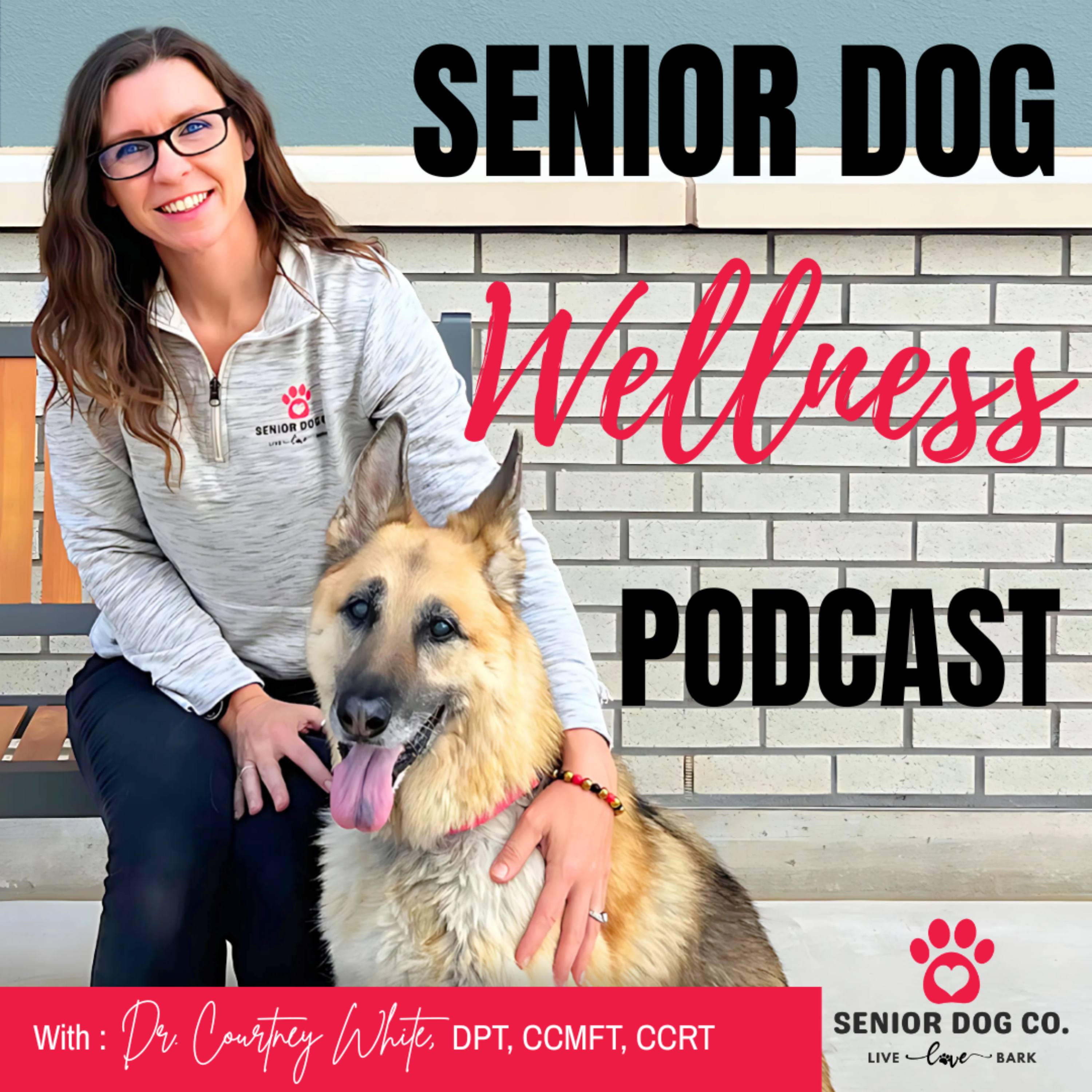 Welcome to the Senior Dog Wellness Podcast episode artwork
