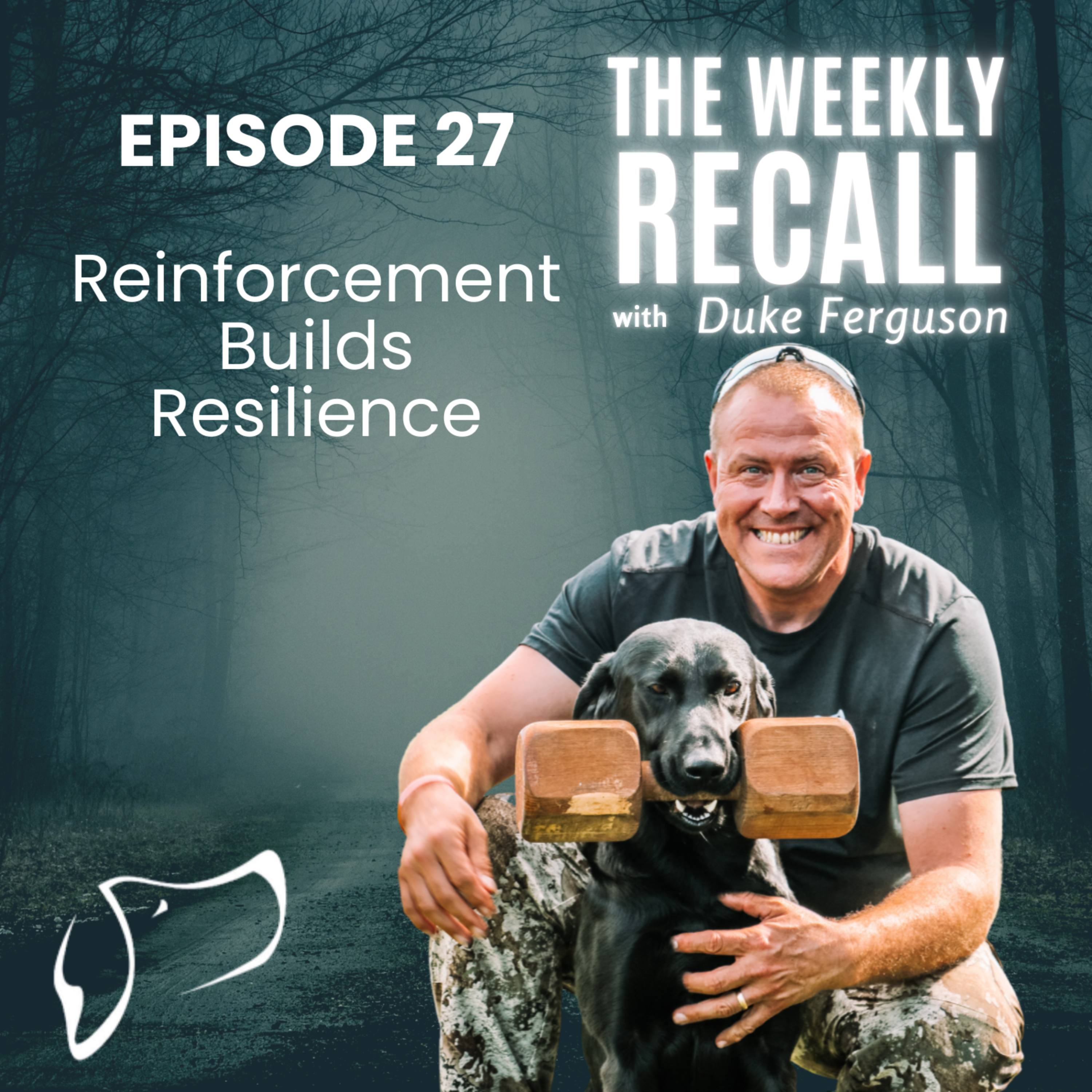 #27 Reinforcement Builds Resilience