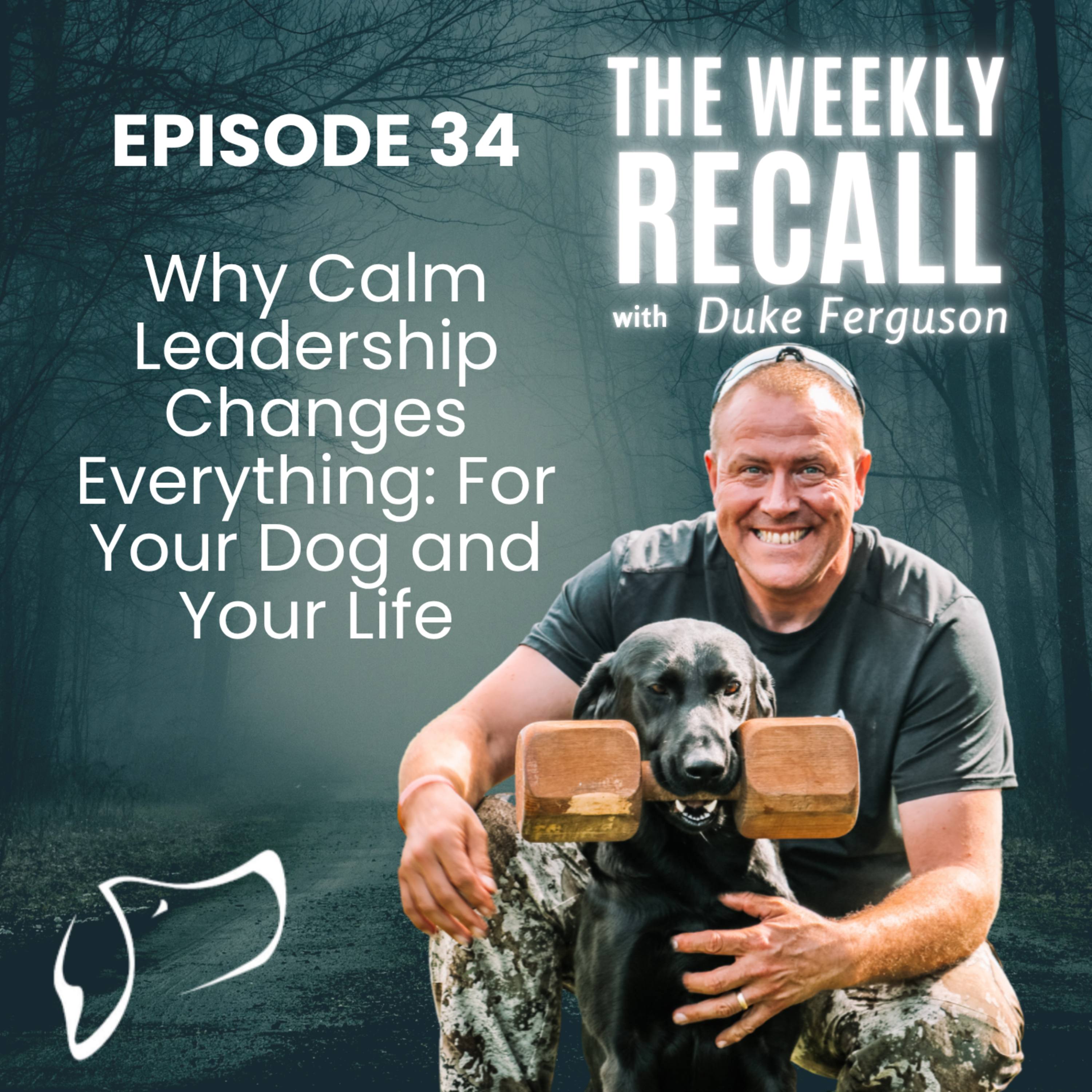 #34 Why Calm Leadership Changes Everything — For Your Dog and Your Life