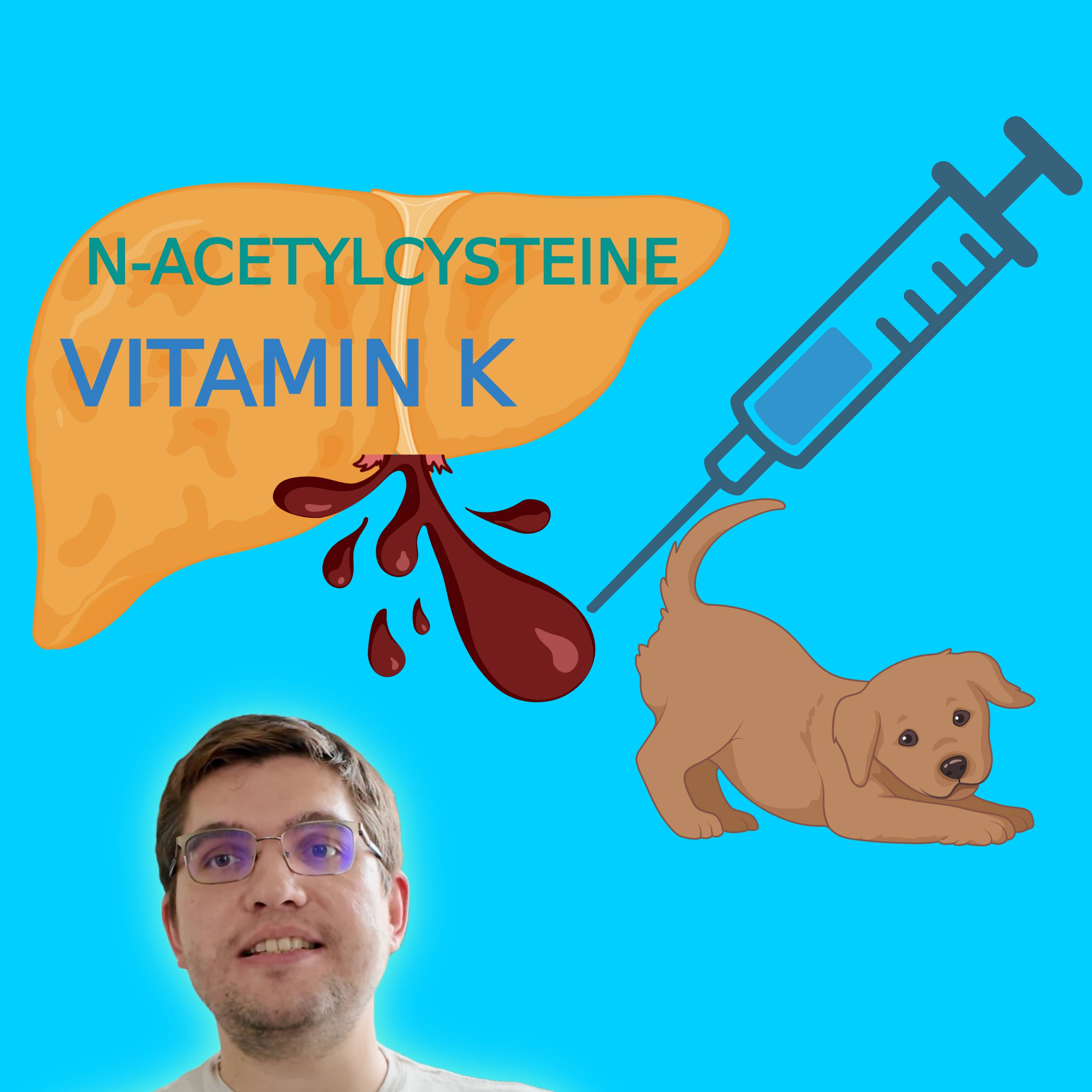 Should You Really Use N-Acetylcysteine and Vitamin K in Every Liver Failure Case? episode artwork