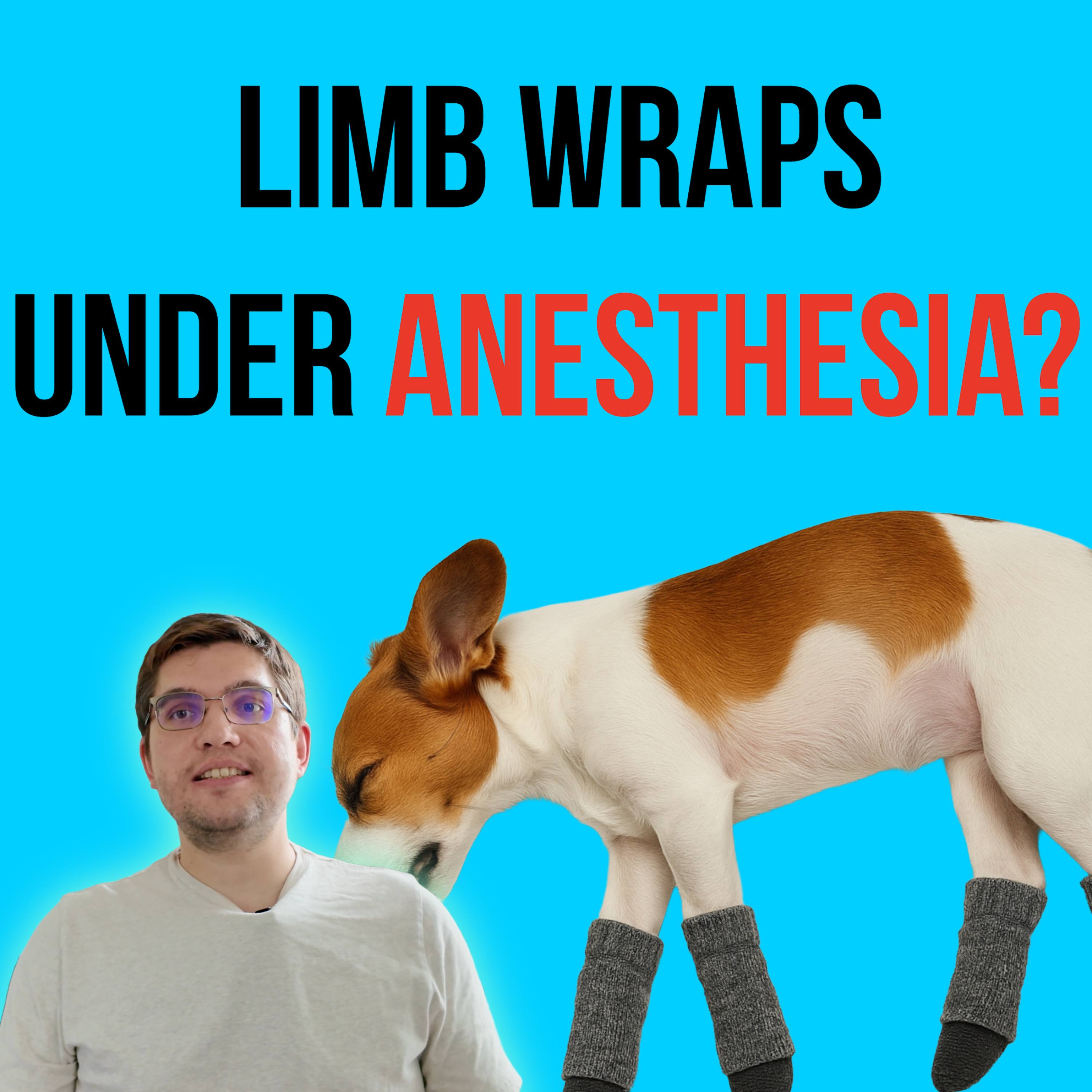 Episode 9: Limb Wrapping to Reduce Hypothermia in Dogs under General Anesthesia episode artwork