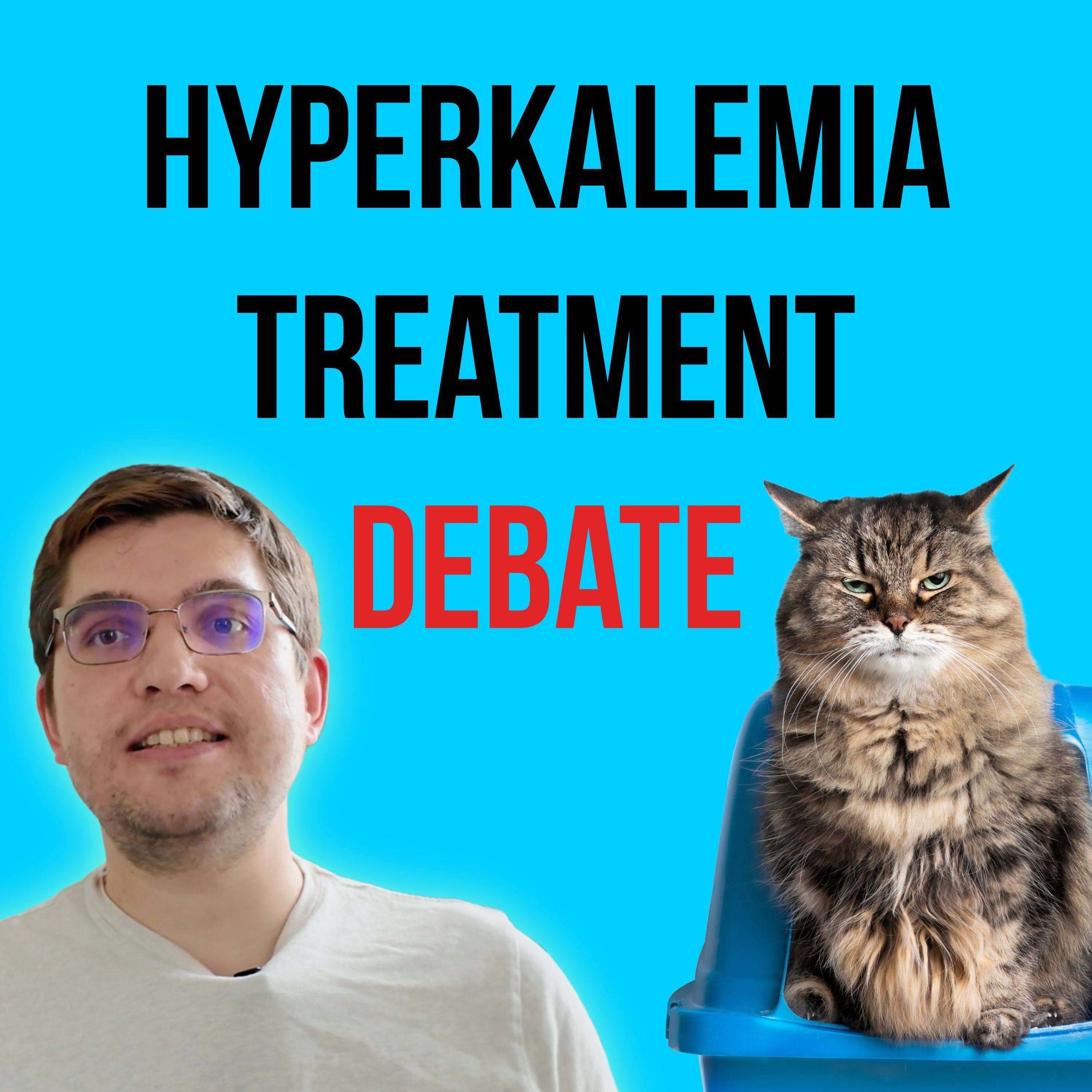 Episode 3: Hyperkalemia in Blocked Cats — Do Adjunct Therapies Really Help? episode artwork