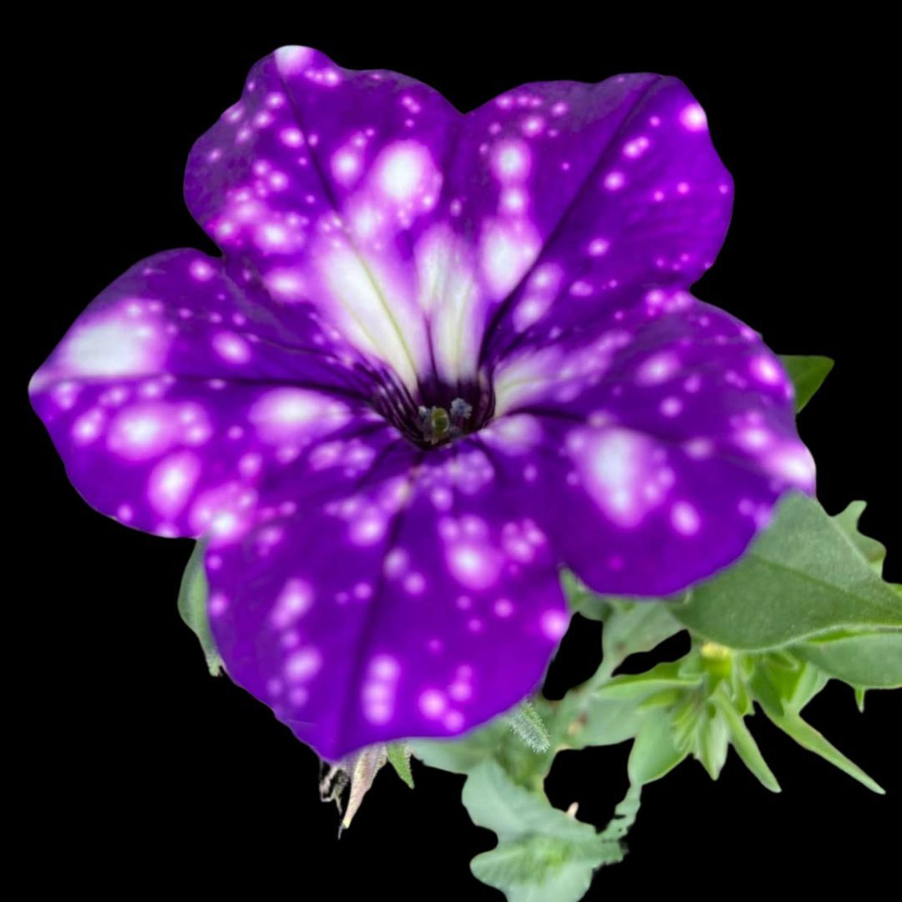 Adventures in Inner Space