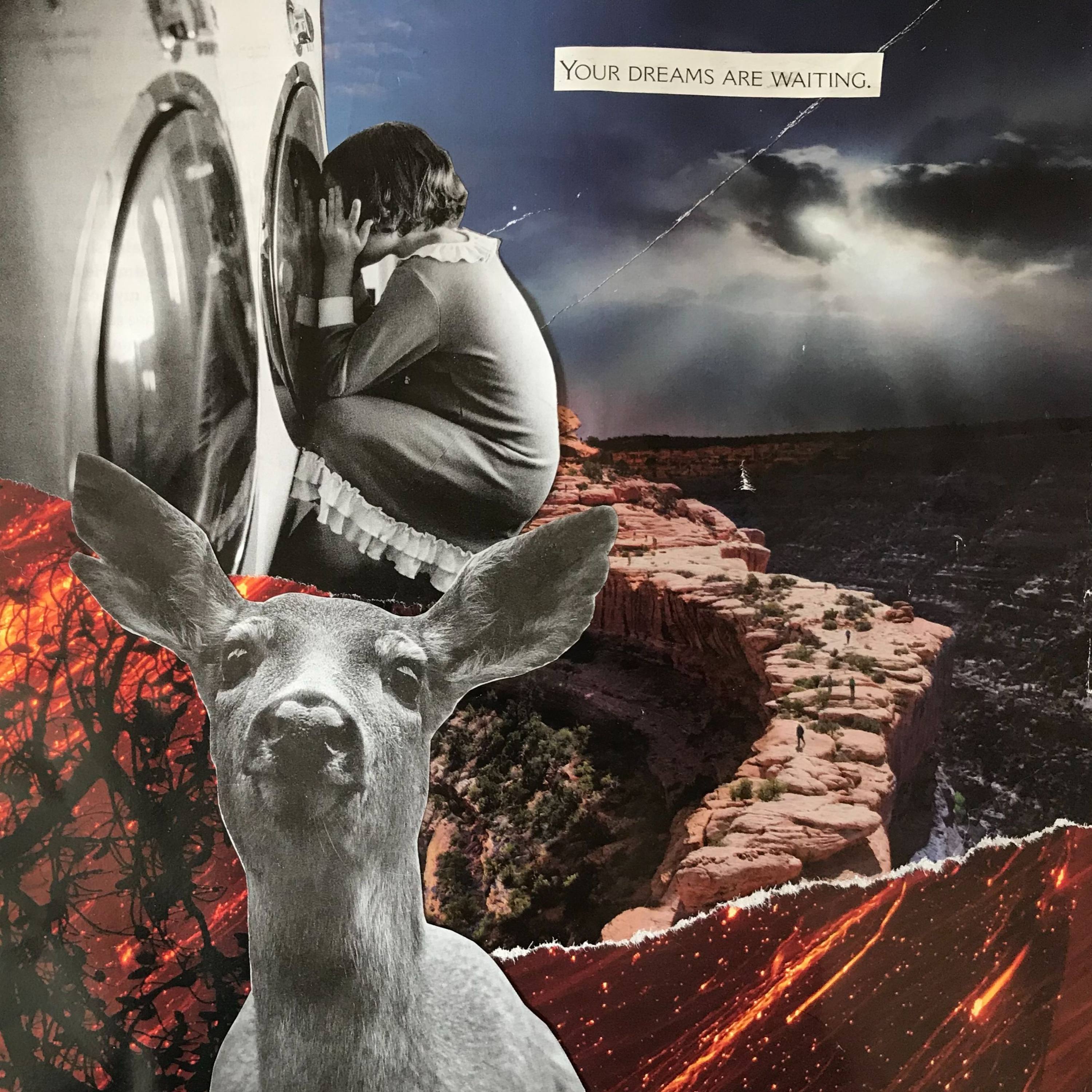 Adventures in Inner Space