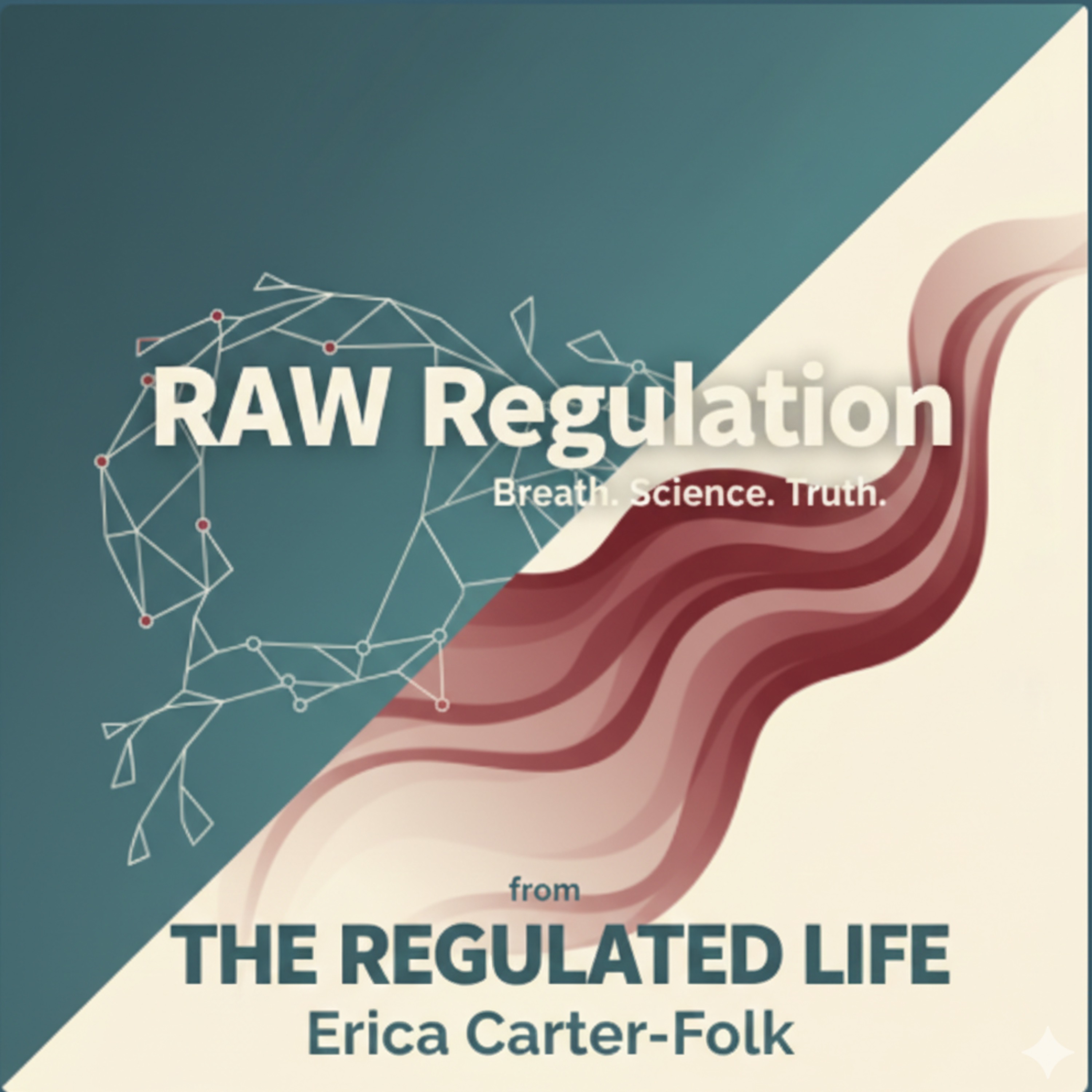 Episode 27:  RAW Regulation | The "I Need 90 Seconds" Script episode artwork