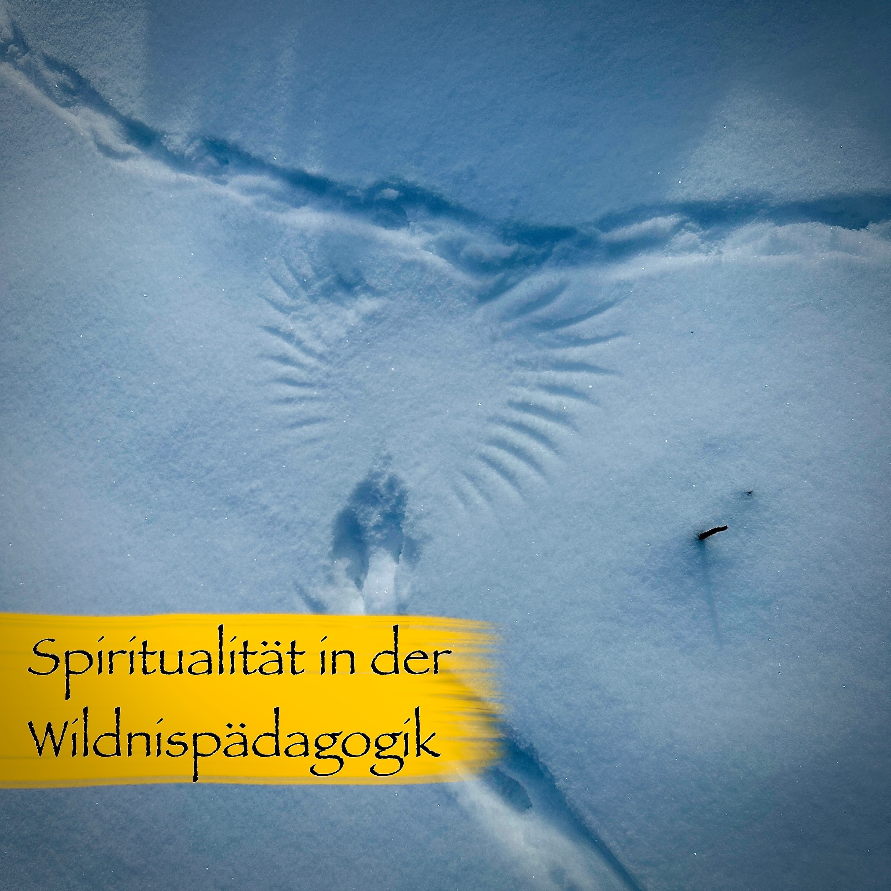 Spiritualität in der Wildnispädagogik: Dein Weg zum Inner Tracking episode artwork