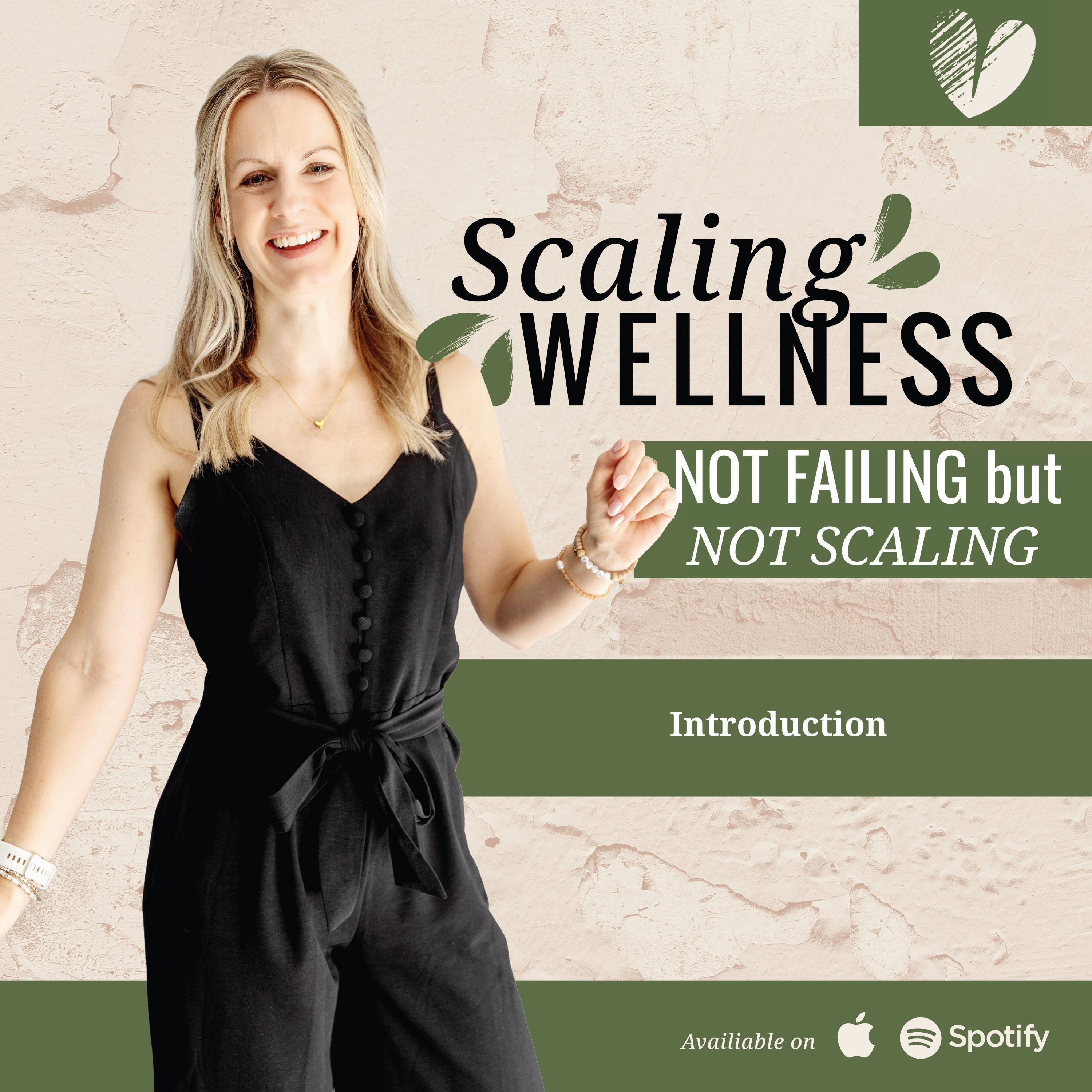 INTRODUCTION - Welcome to "Not failing… but not scaling" episode artwork