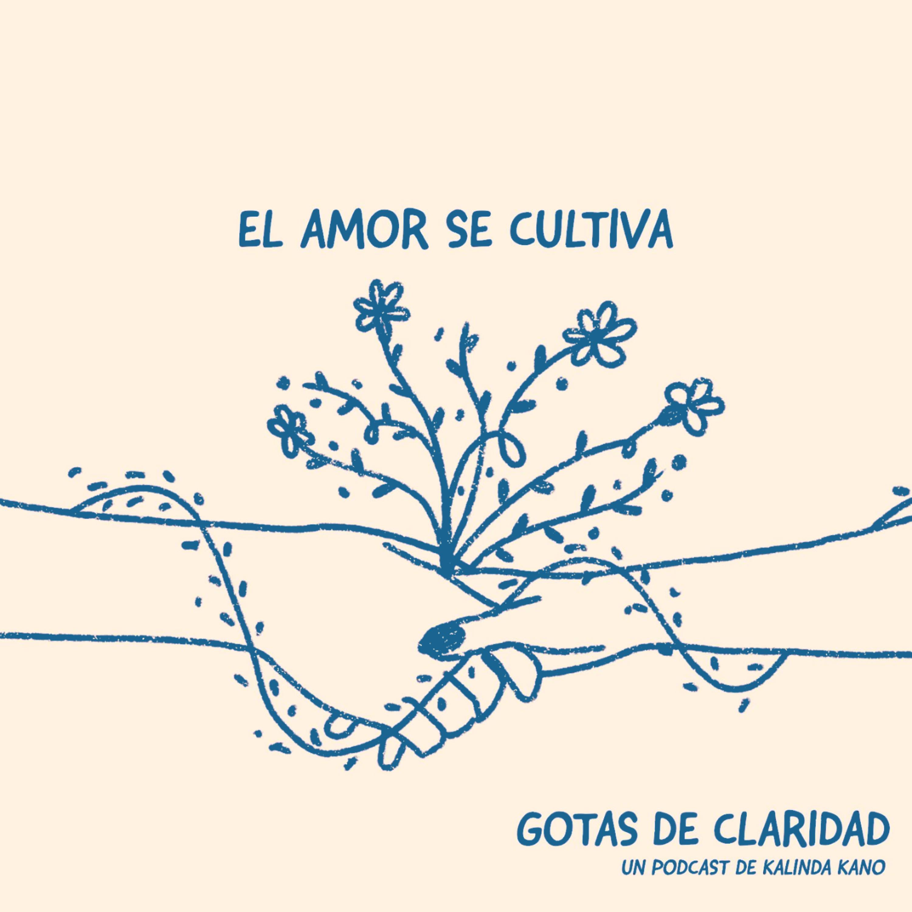 #6: El amor se cultiva