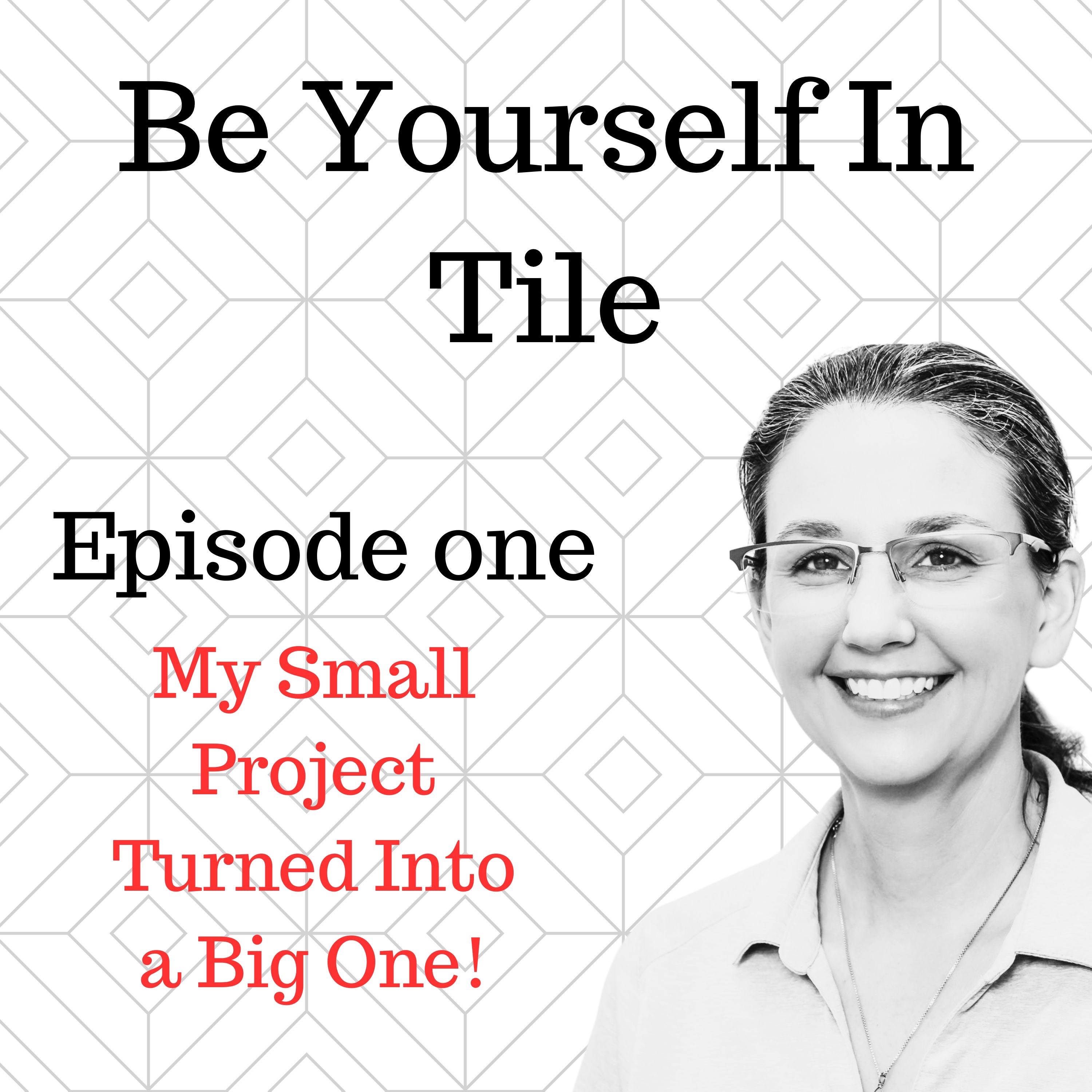 Ep. 1 My little project turned into a big one! episode artwork