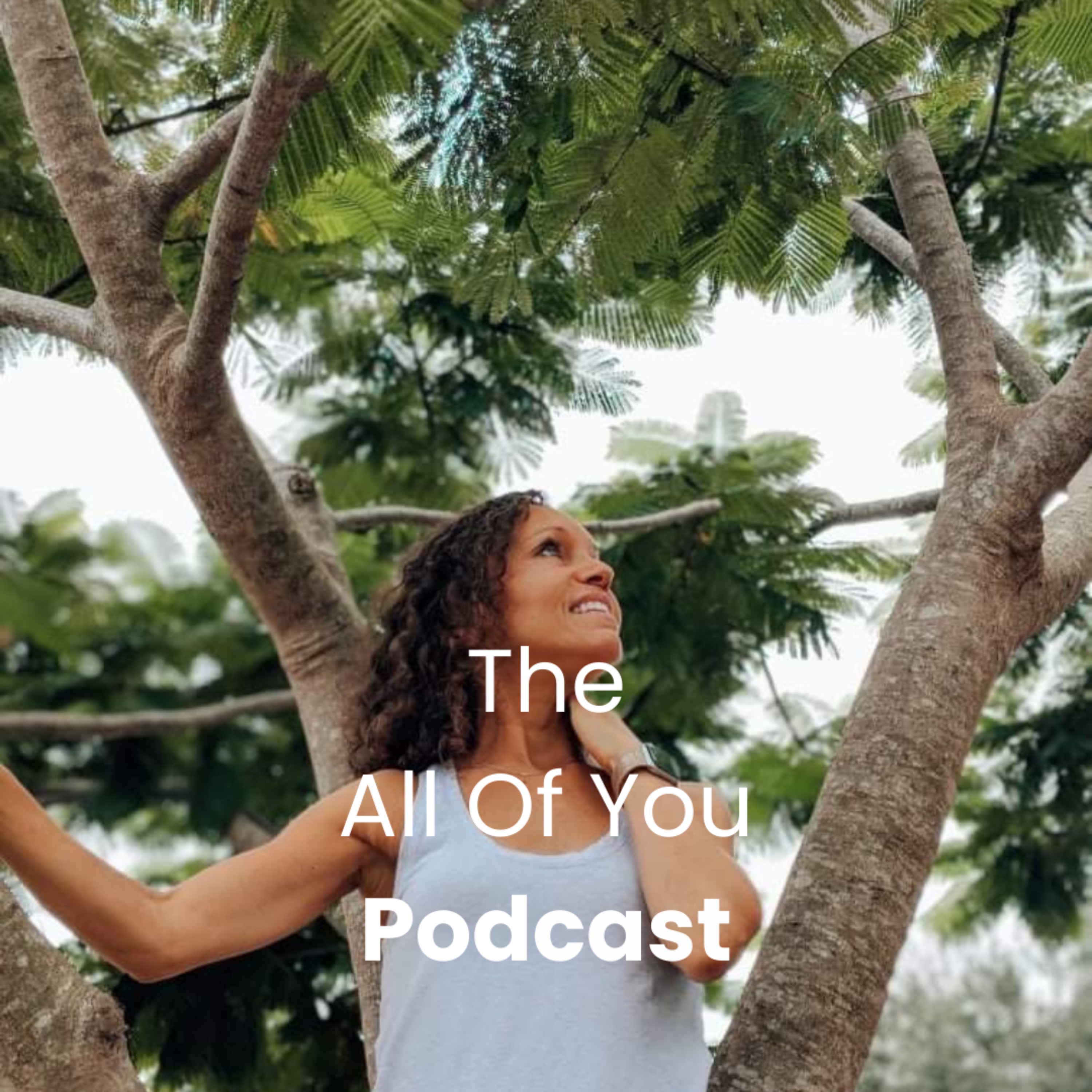 Ep 2: Goals - How simplifying can help you reach your goals episode artwork
