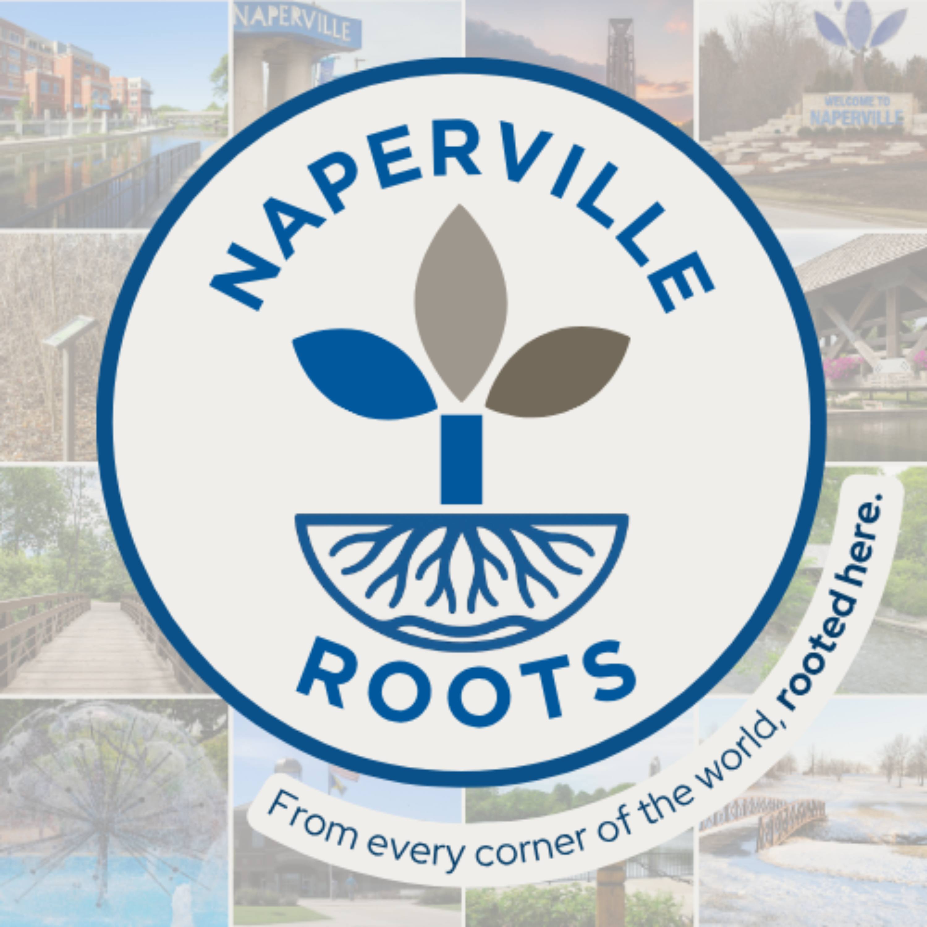 Naperville Roots