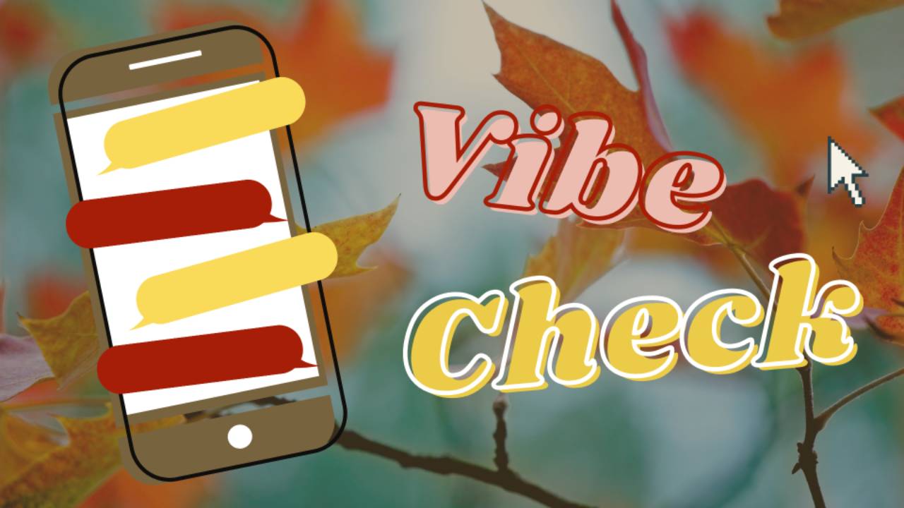 SEL Vibe Check