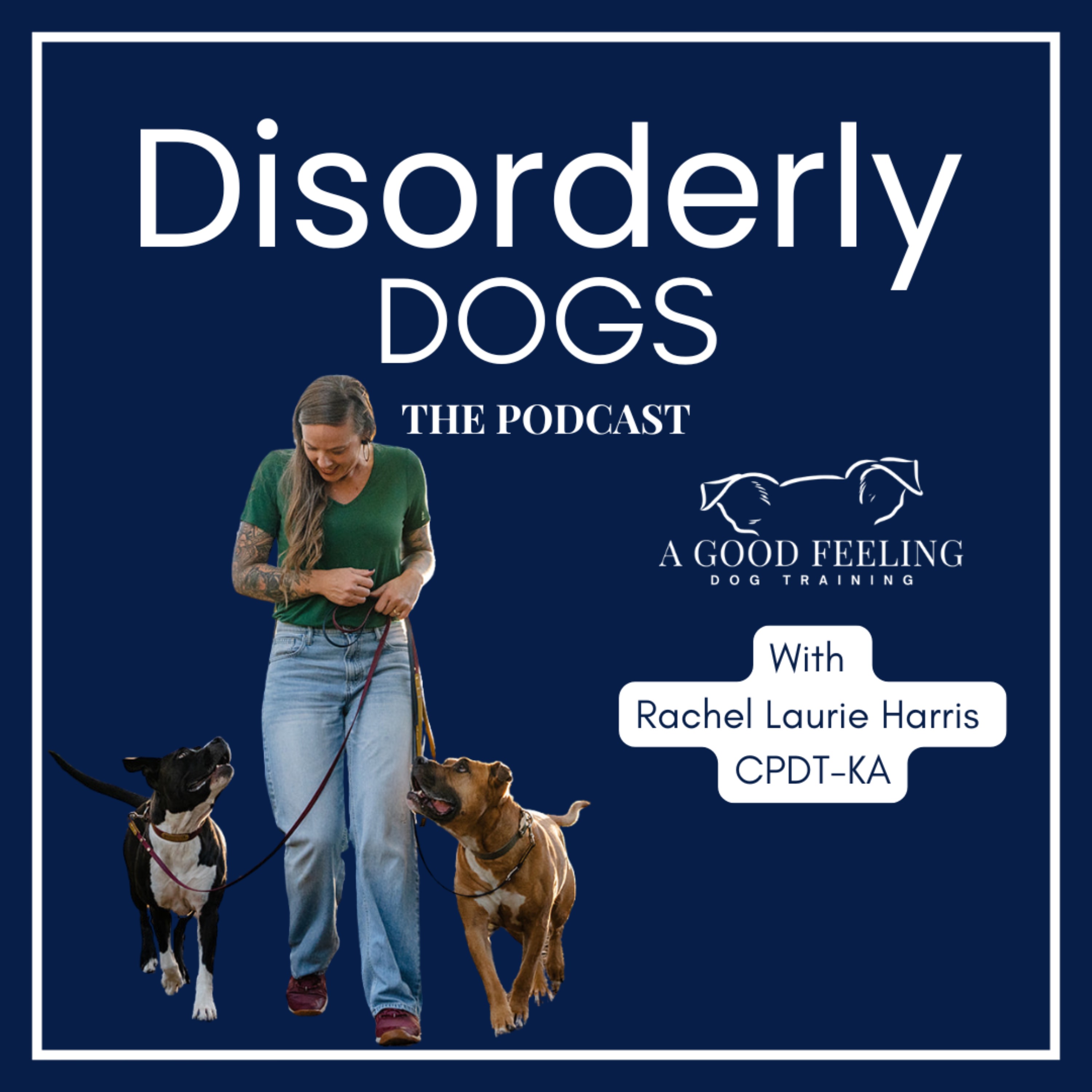 Disorderly Dogs!