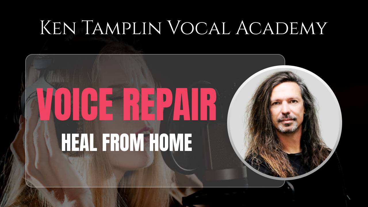 Voice Repair course