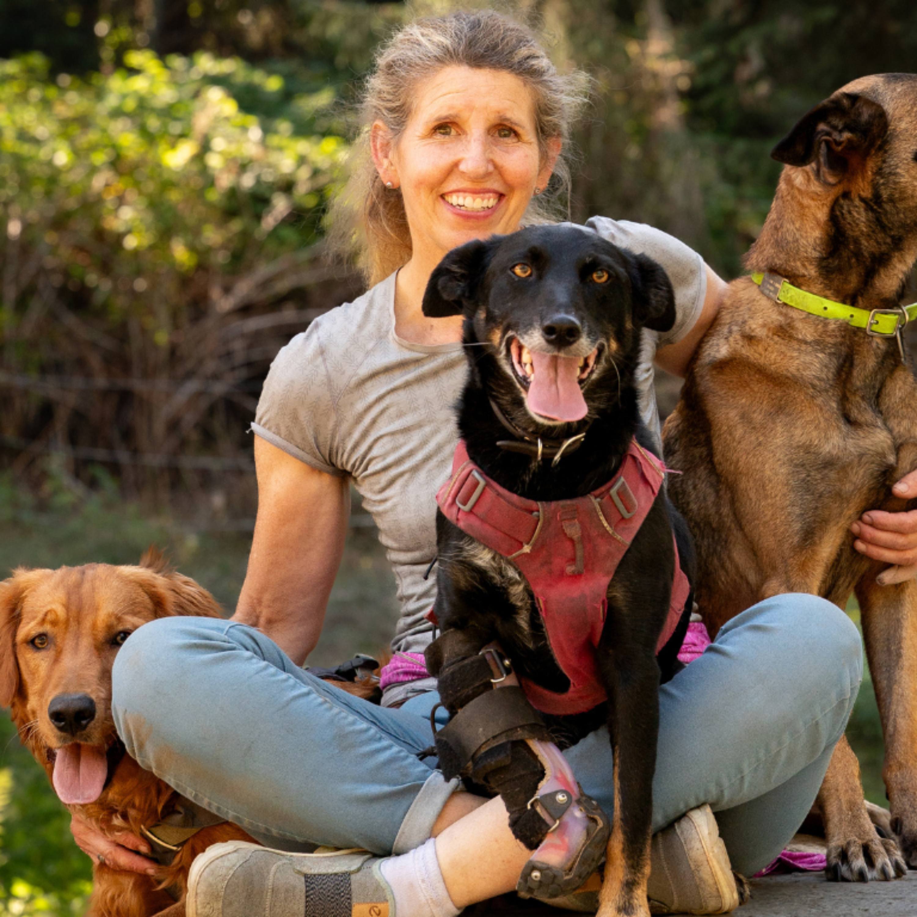 Thrive Dog-Holistic Veterinary Guidance