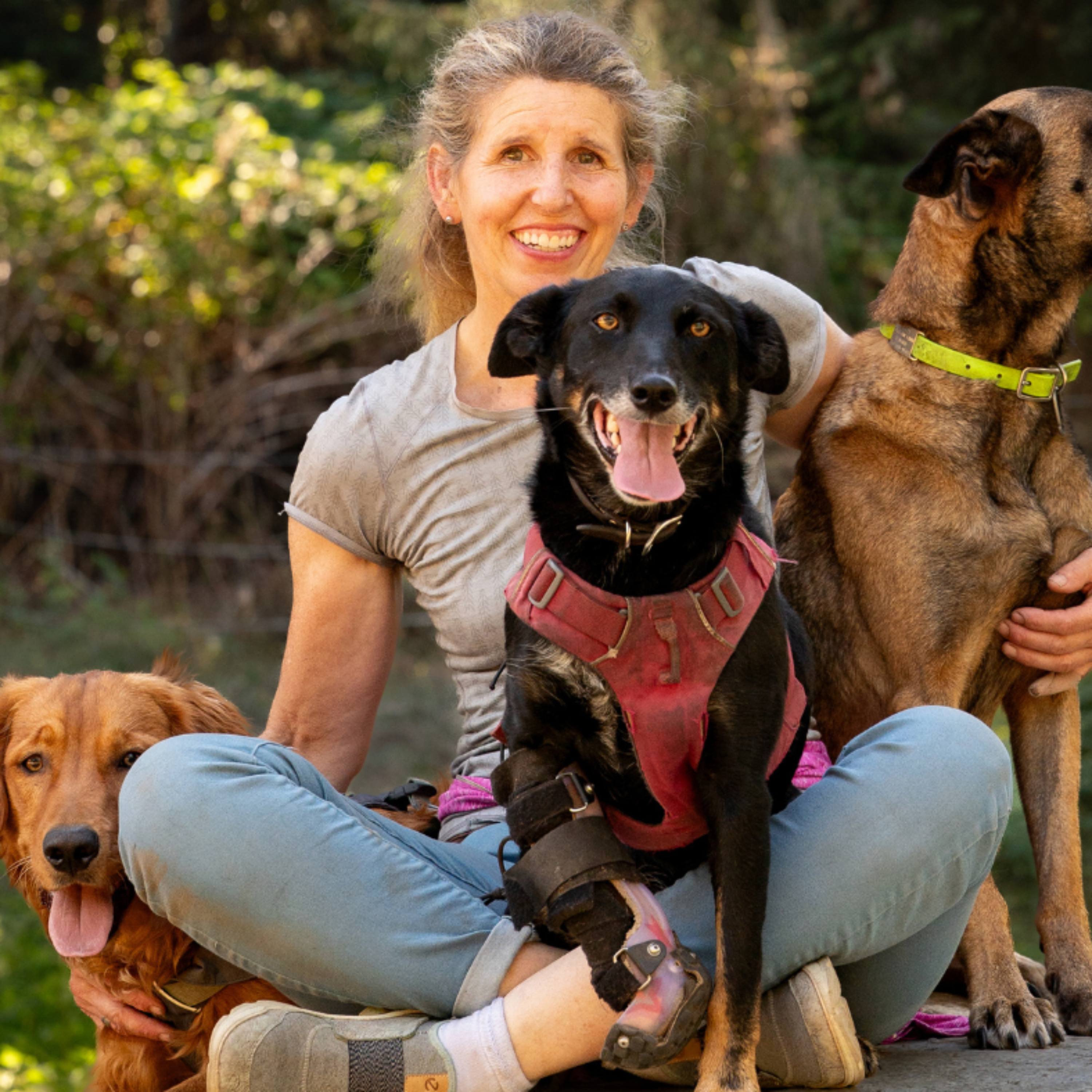 Circle of Life with Animals