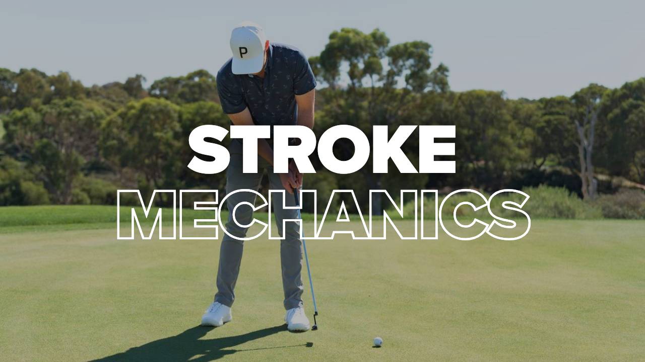 The Stroke
