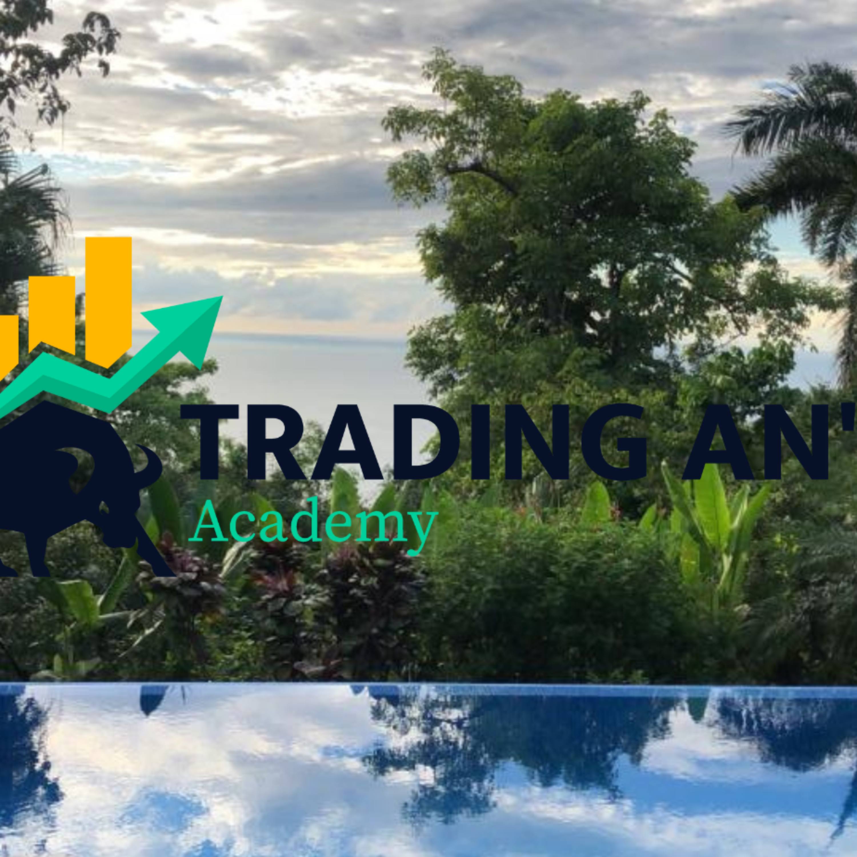 Trading Ans Podcast