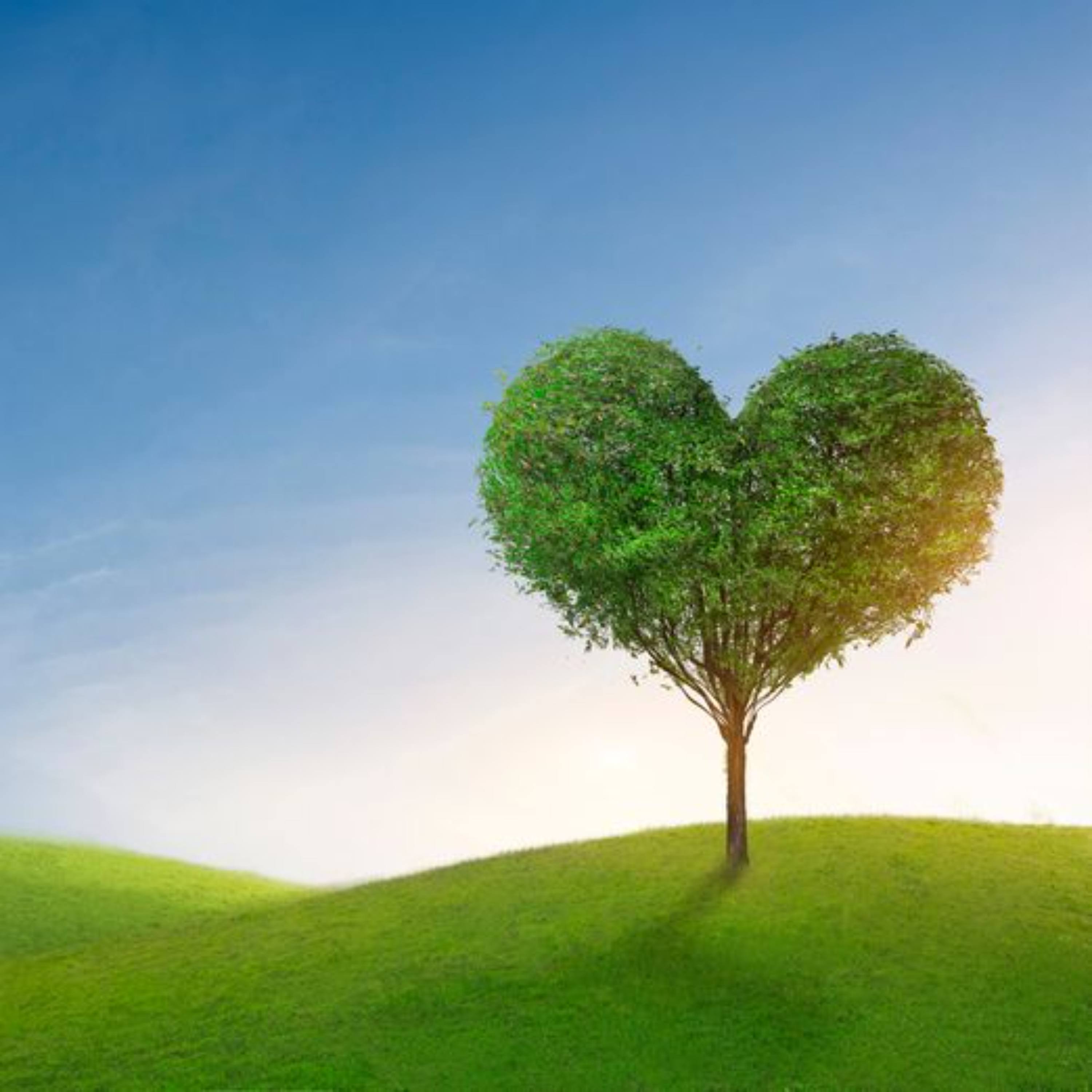 じゅんこ先生のポッドキャスト