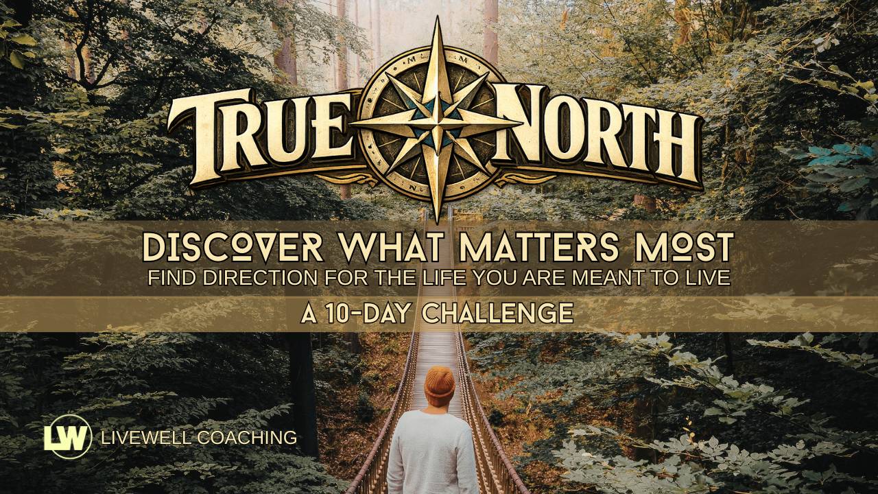 True North cover art