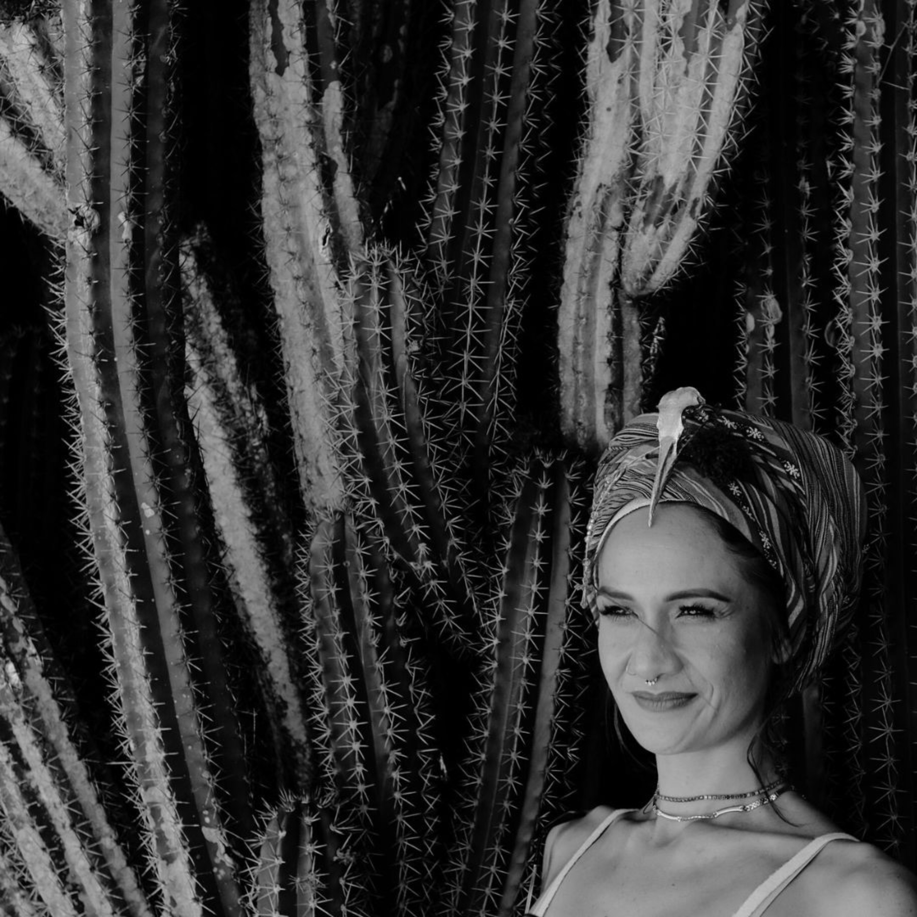 The Golden Nuggets to Greatness #fuckaverage 