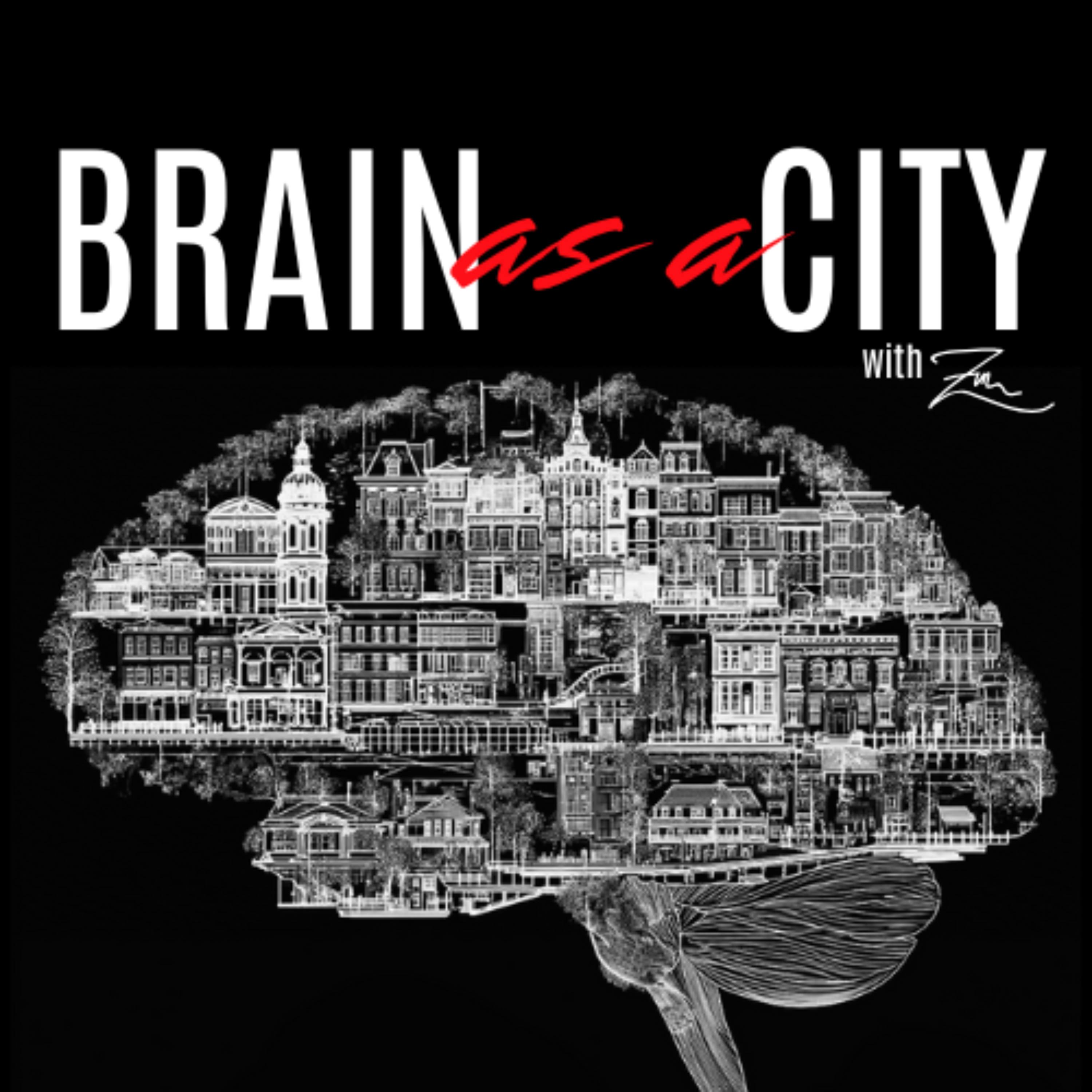 Brain as a City
