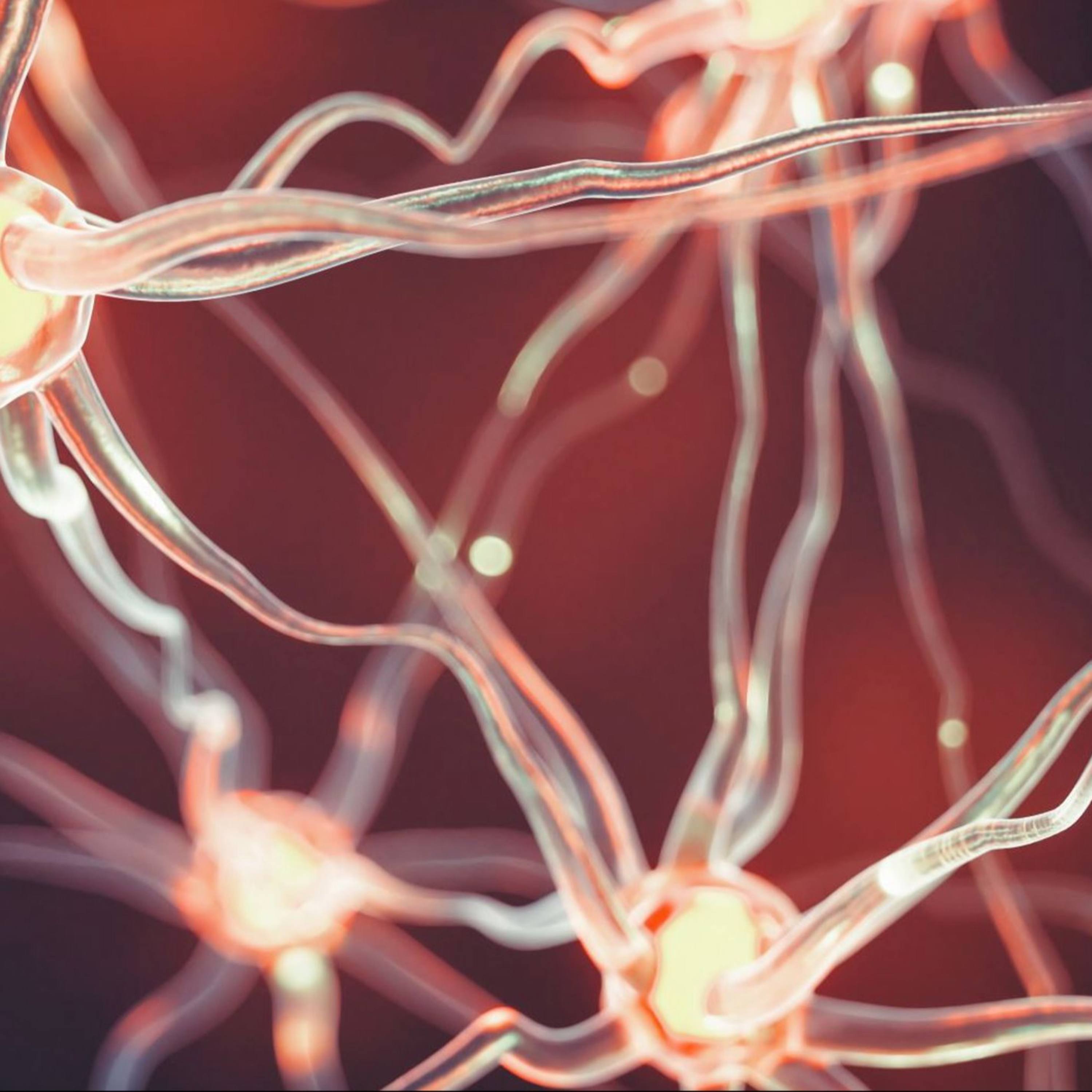 Nervous System Healing