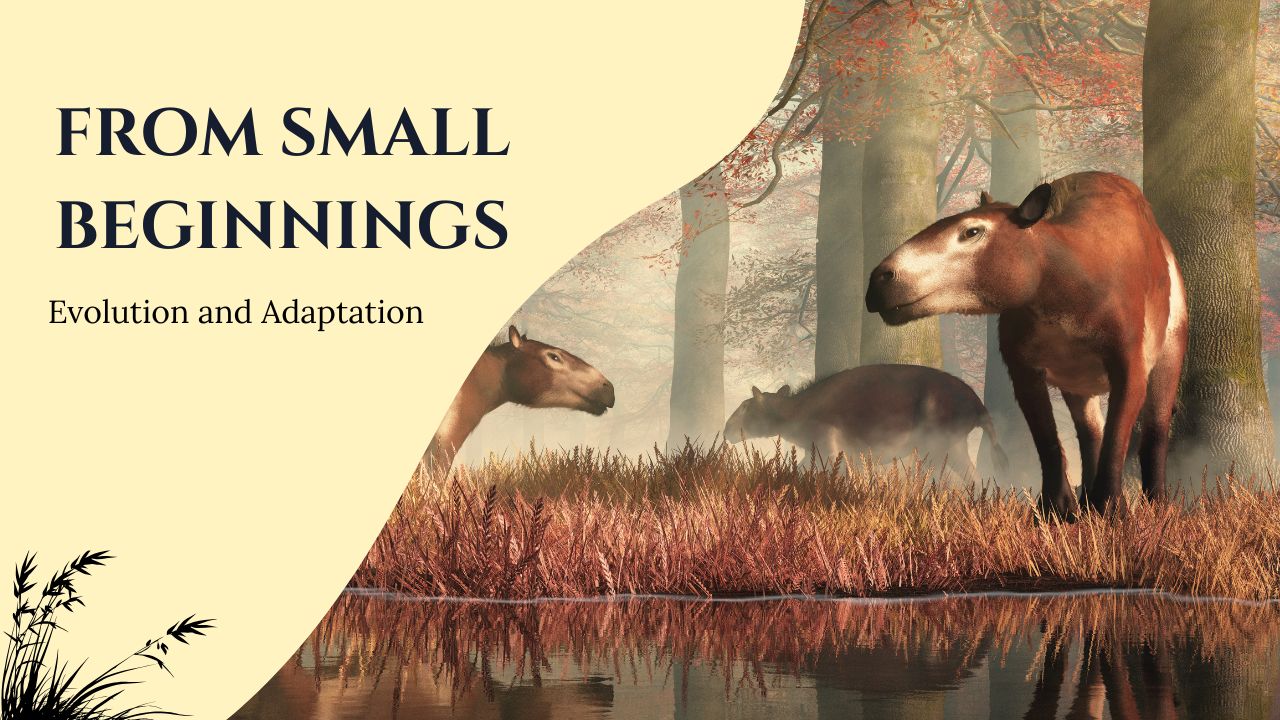 From Small Beginnings