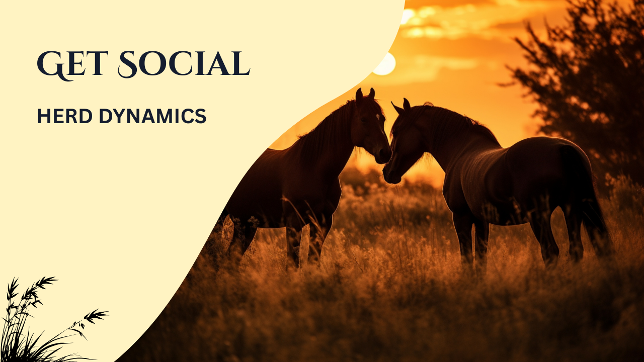 Get Social