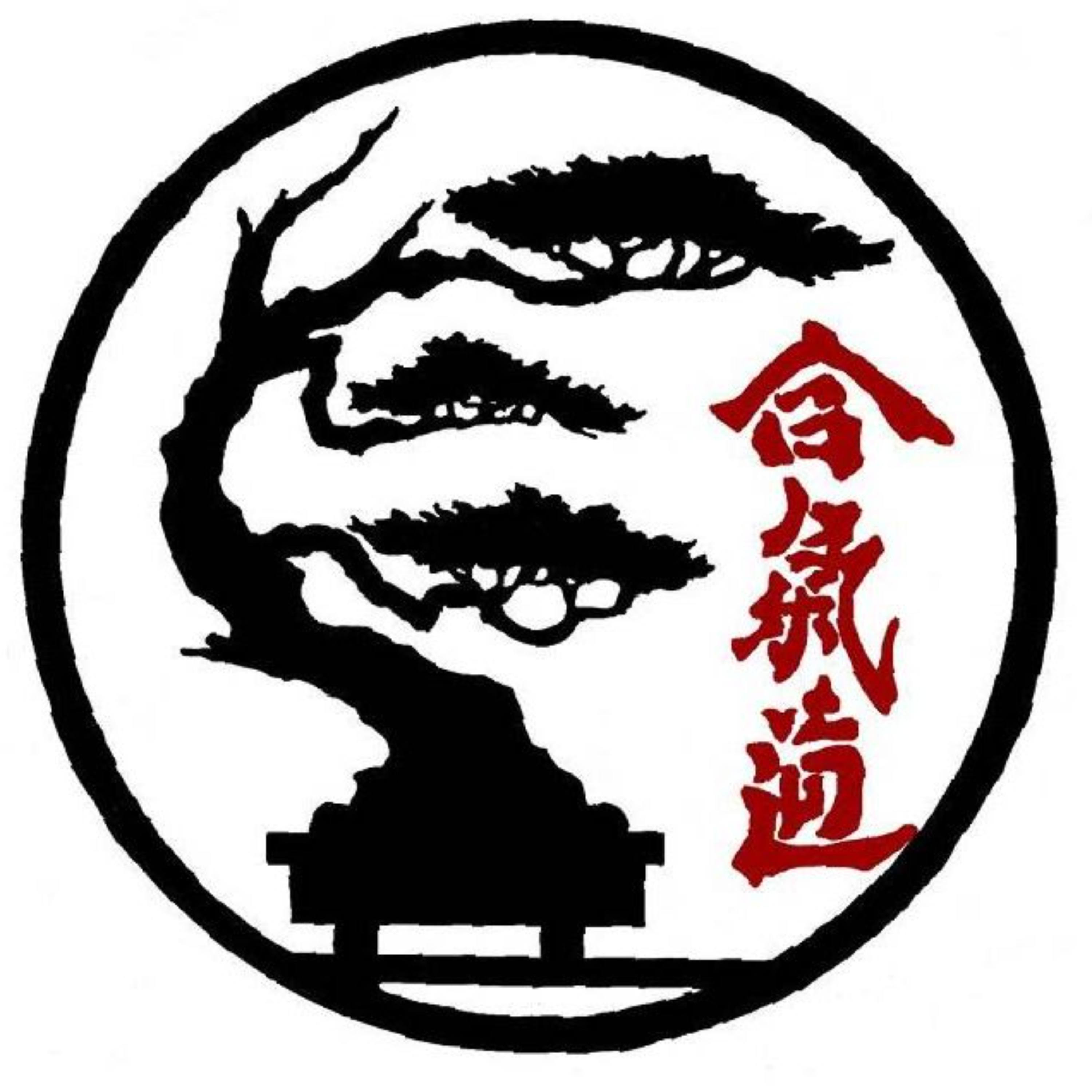 Holistic Budo at Sangamon Aikikai