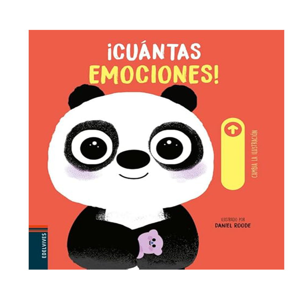 Imagen 11