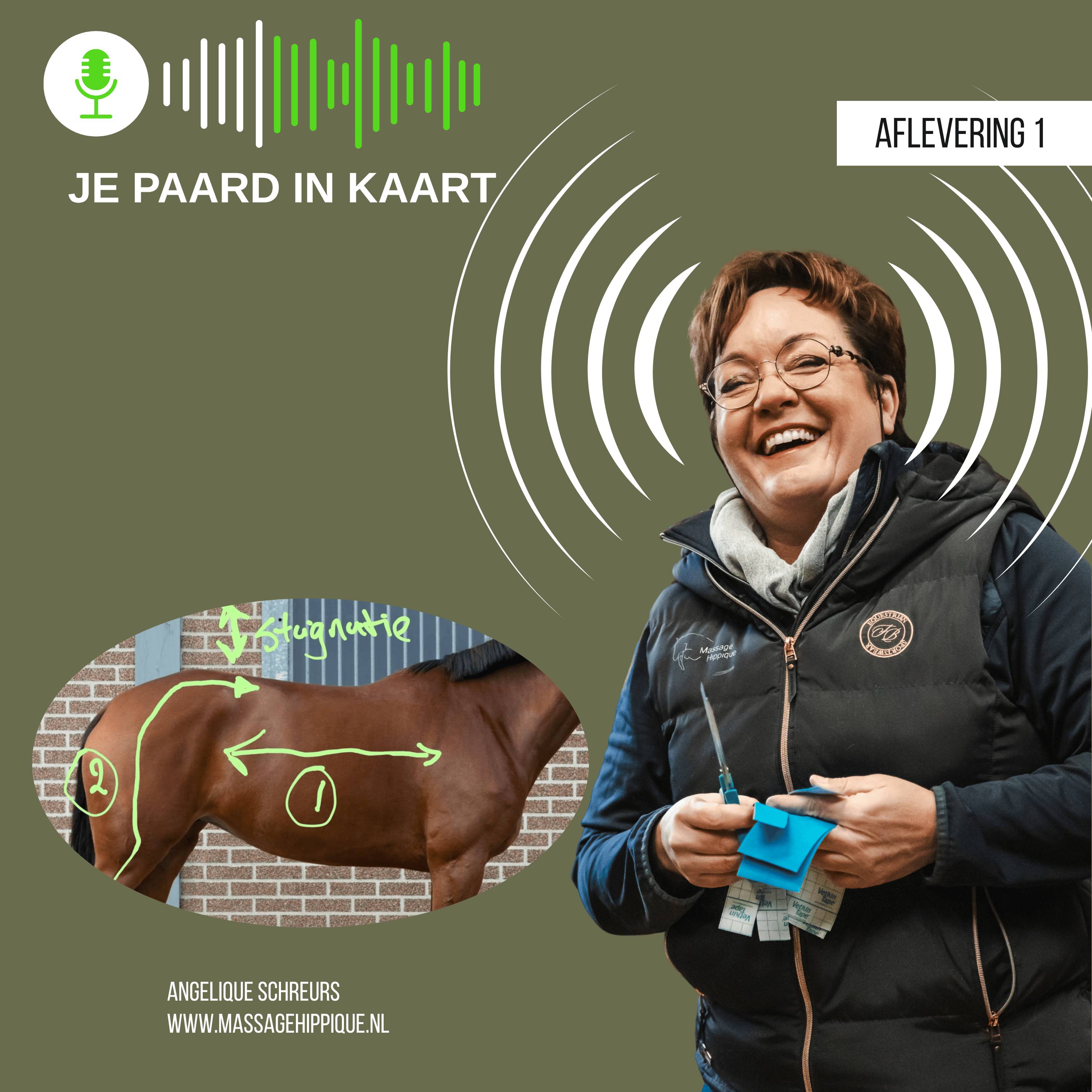 Je paard in kaart