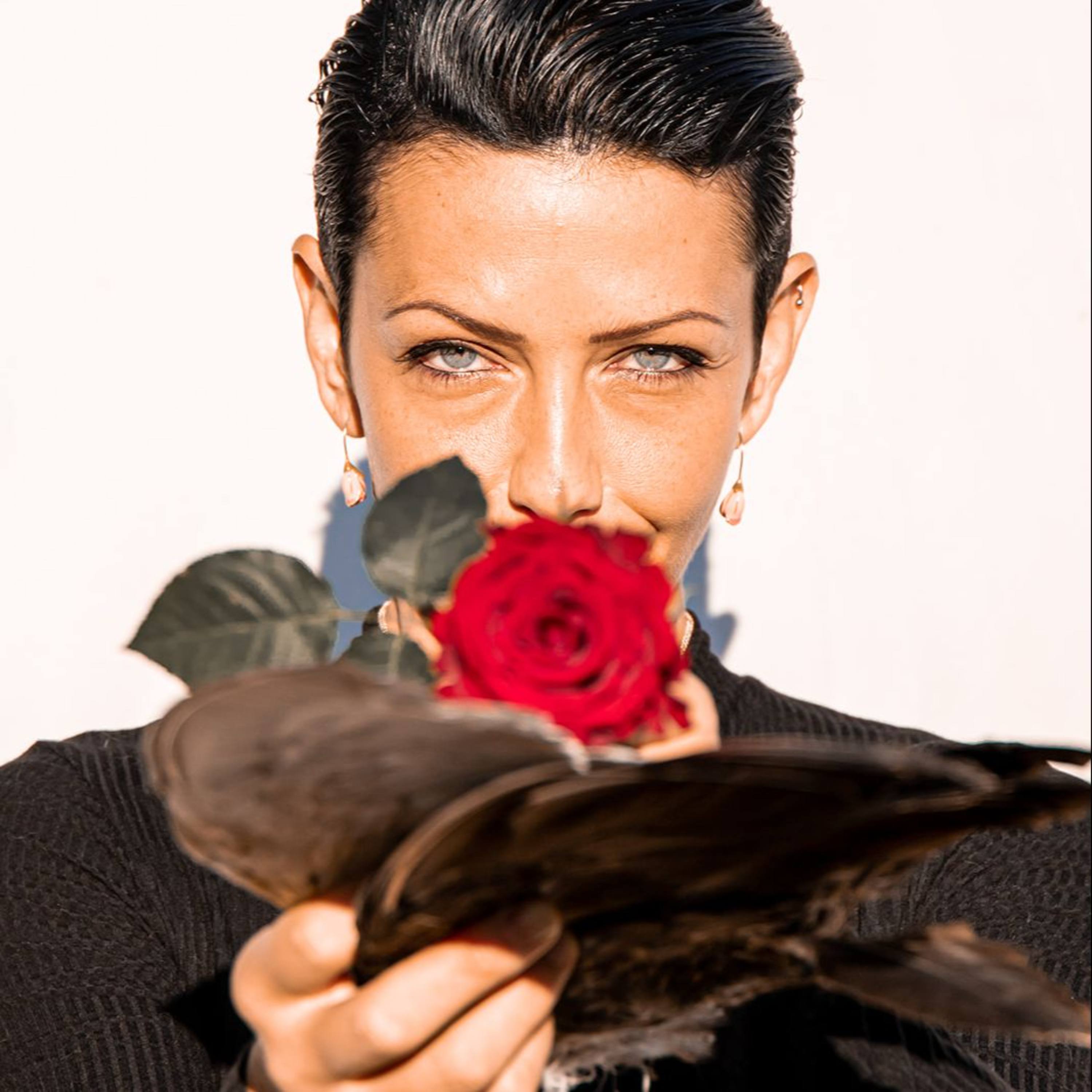 Real Intelligence Series "R.I"