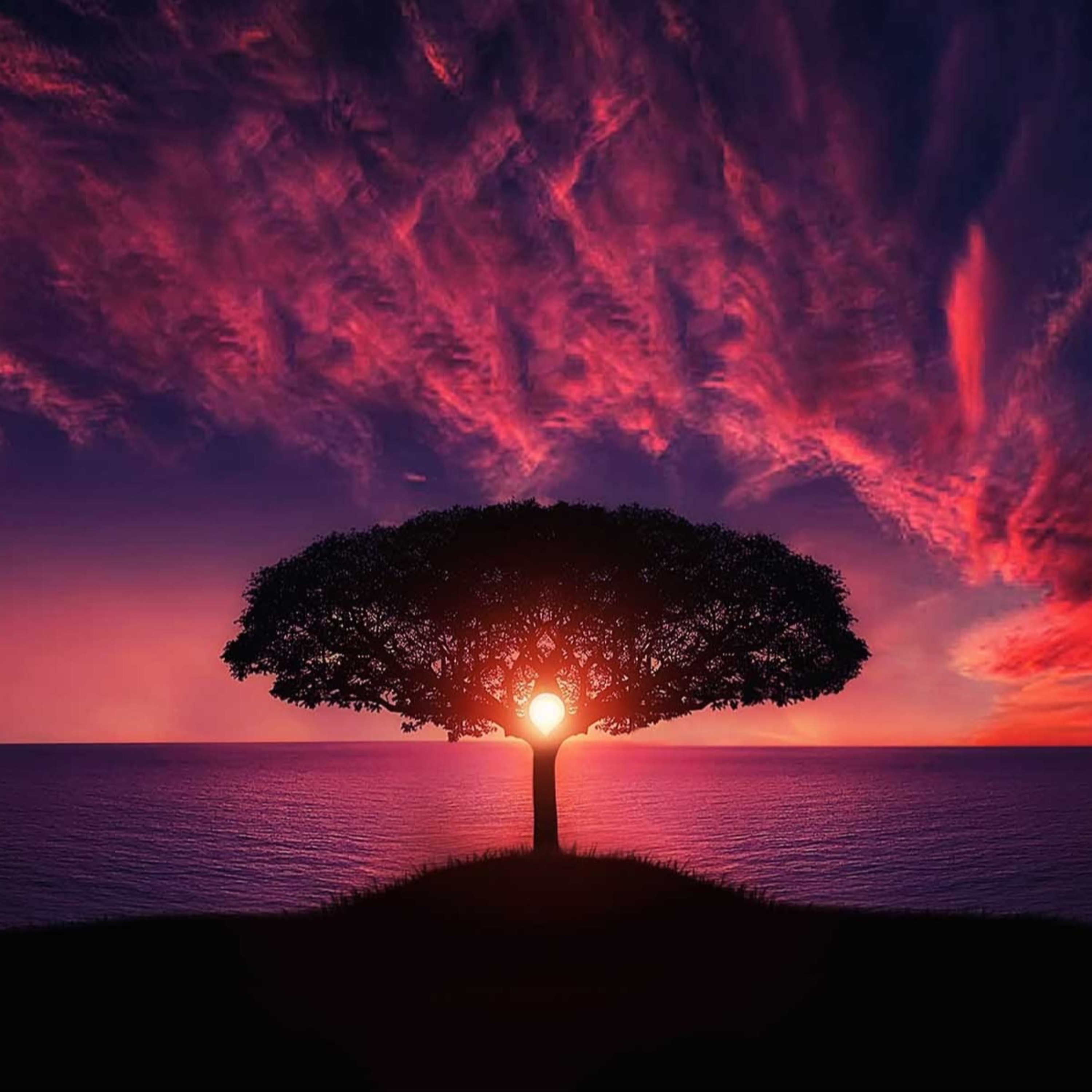 Cosmic Elements of Recovery: The Fivefold Path to Wholeness