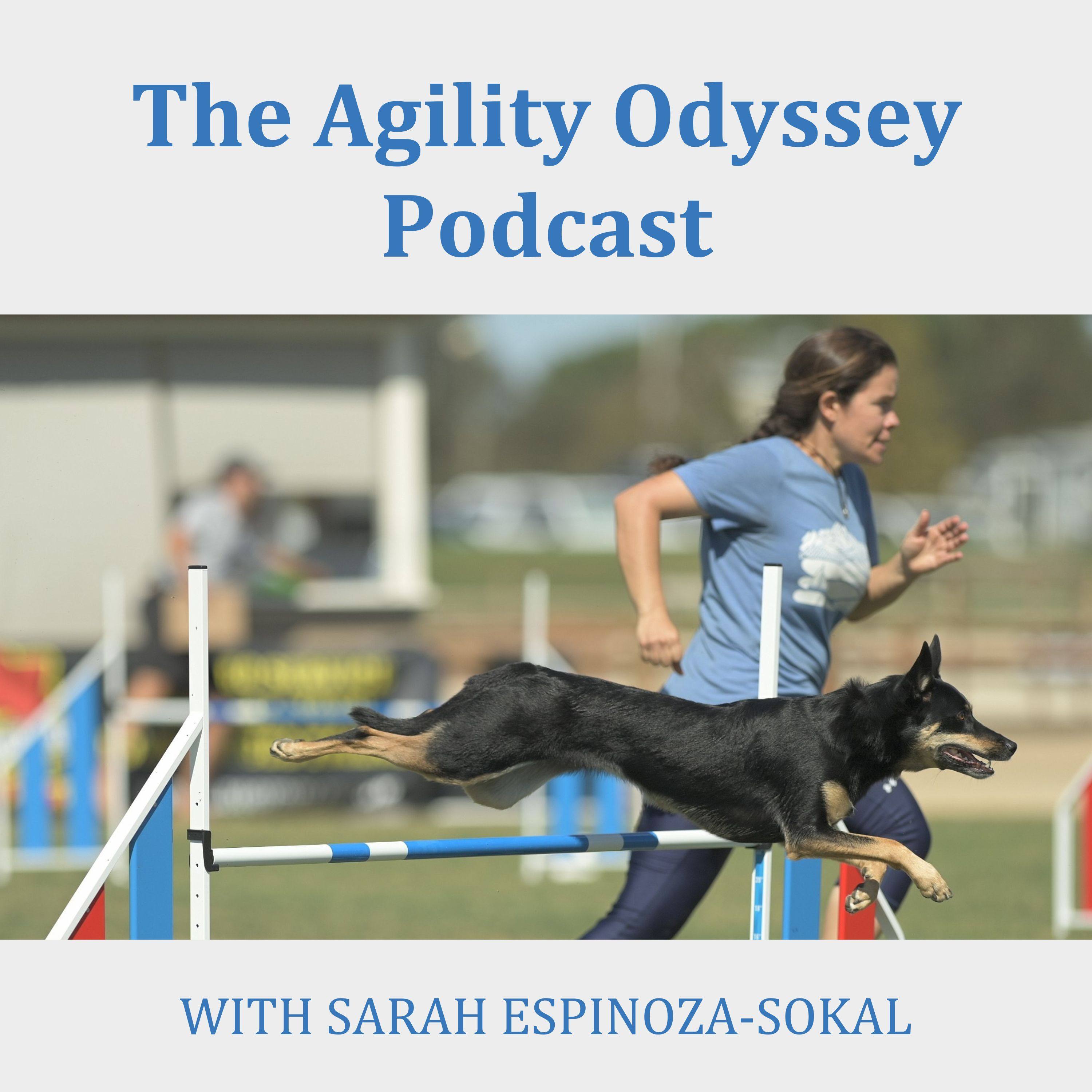 The Agility Odyssey Podcast