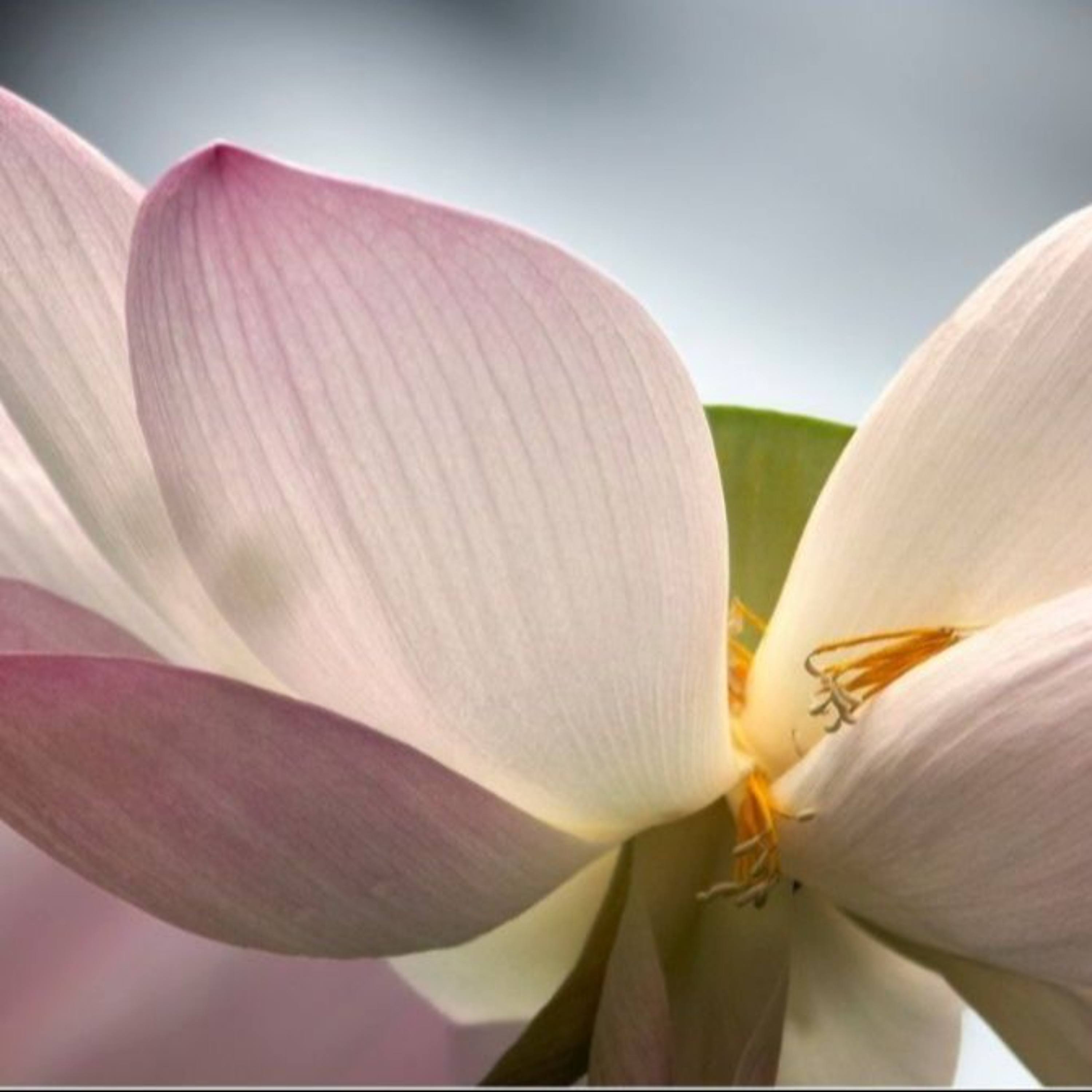 On Thoughts and Aphorisms