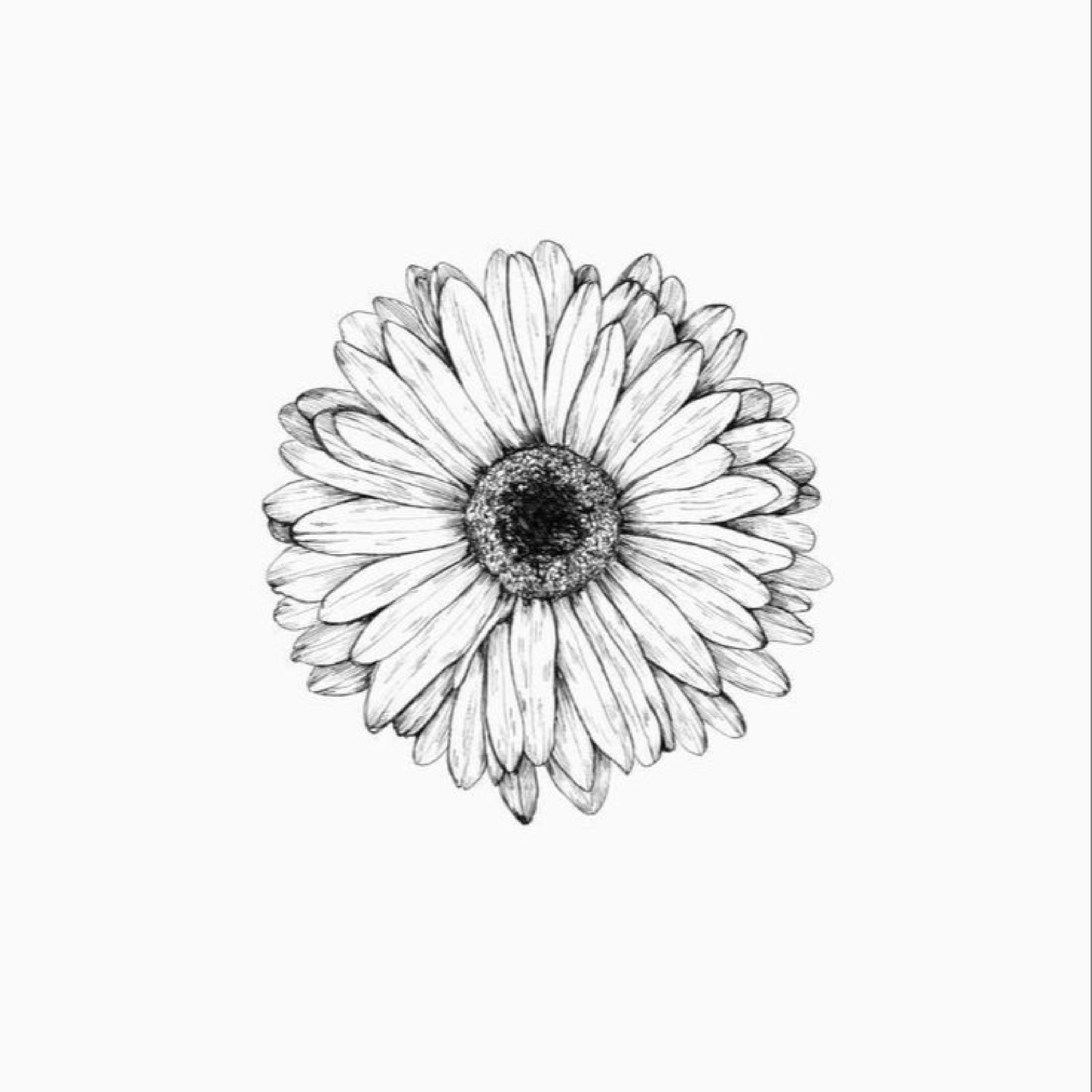 Habita tu entelequia