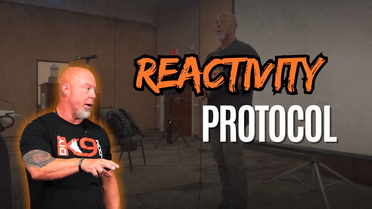 Reactivity course image