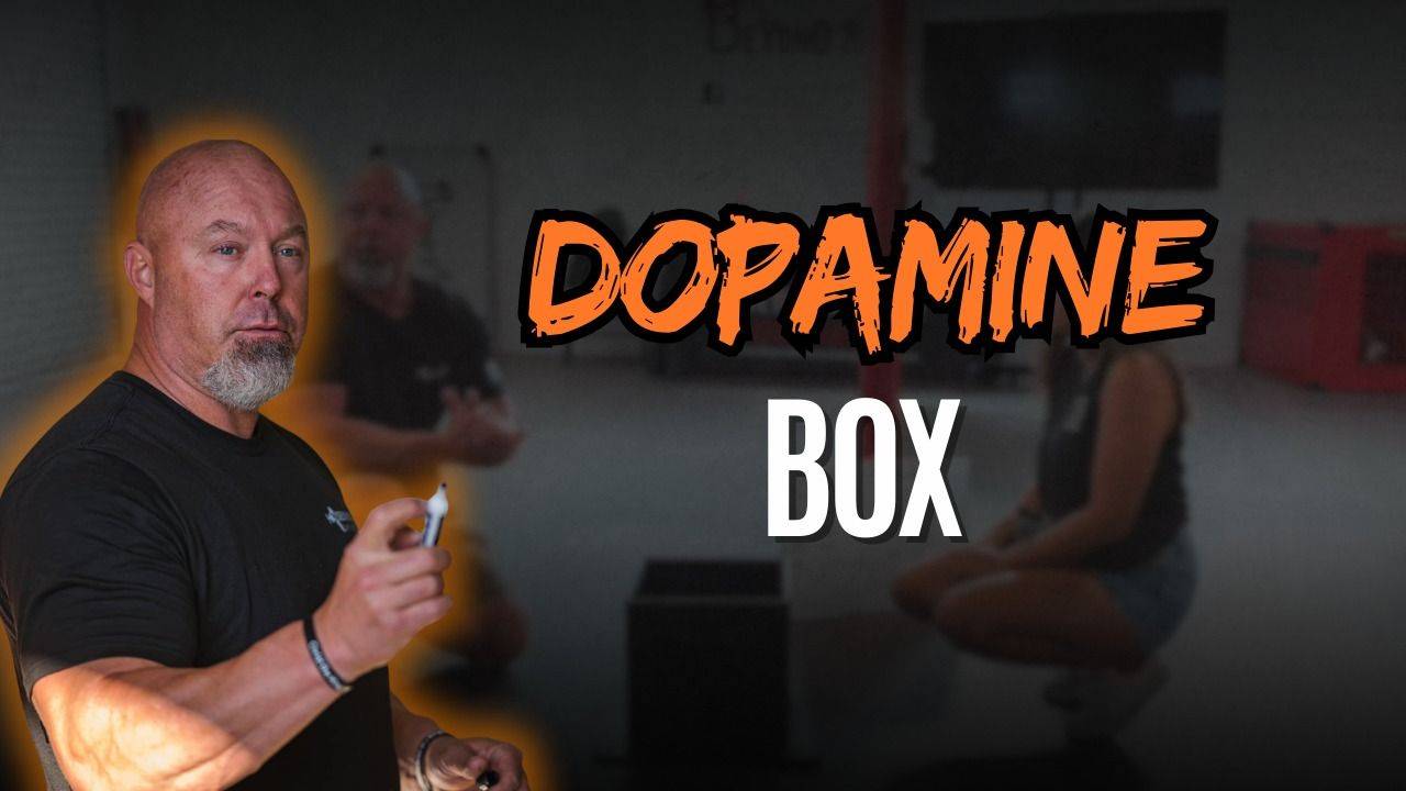 The Trilogy of Aggression course image