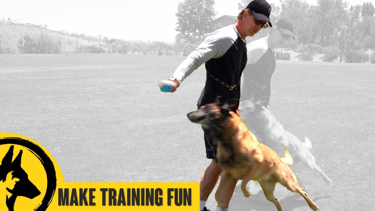 Make Training Fun
