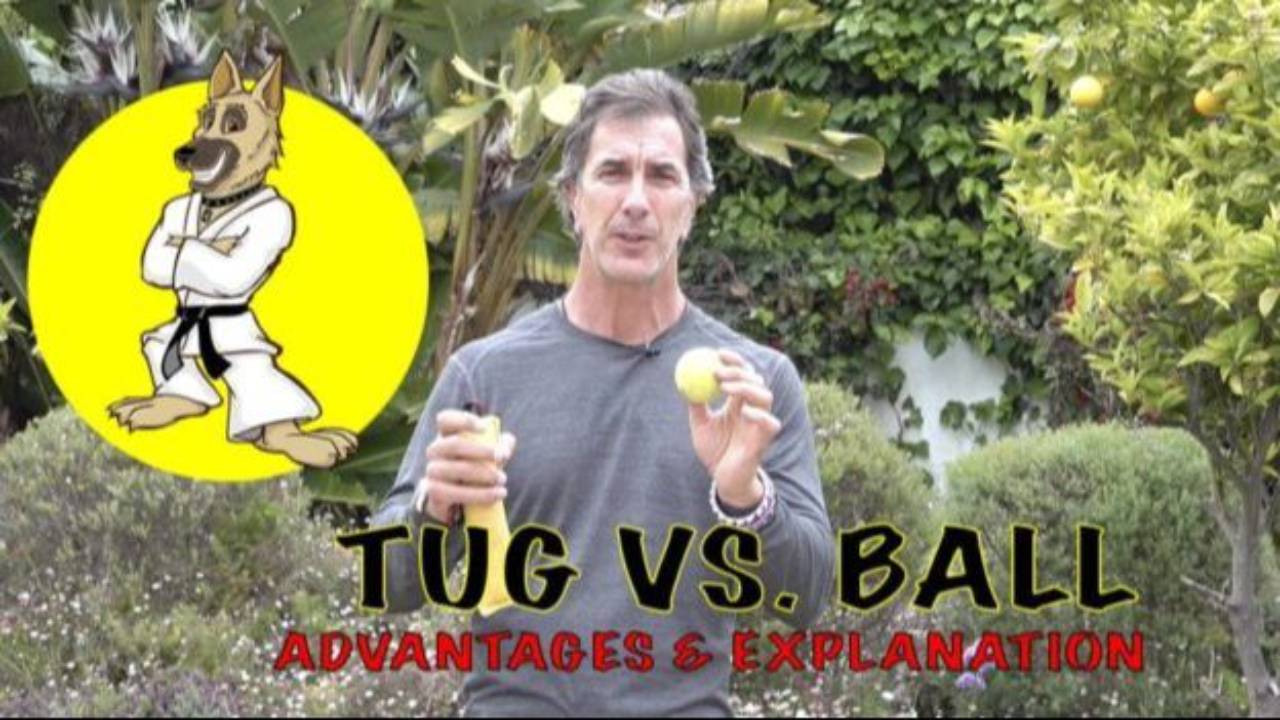 TUG vs. BALL REWARDS