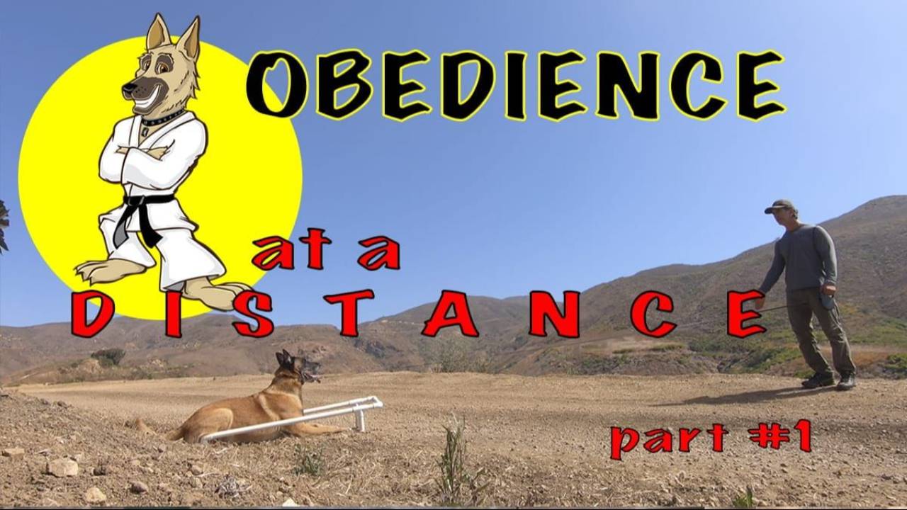 Obedience at a Distance