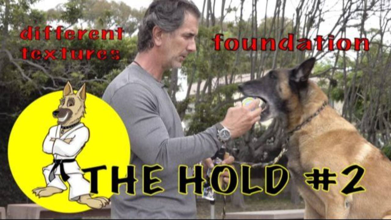 The HOLD Part 2