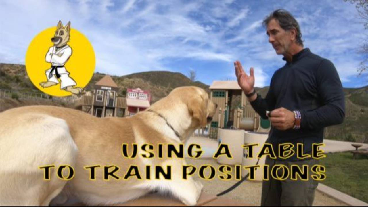 Using a Table to Teach Positions