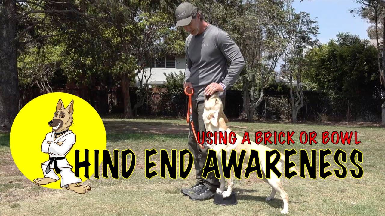 Hind End Awareness