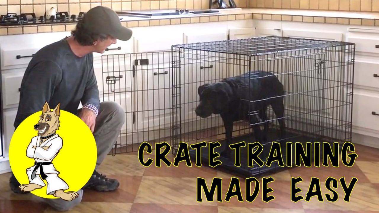 Crate Training – Dogs