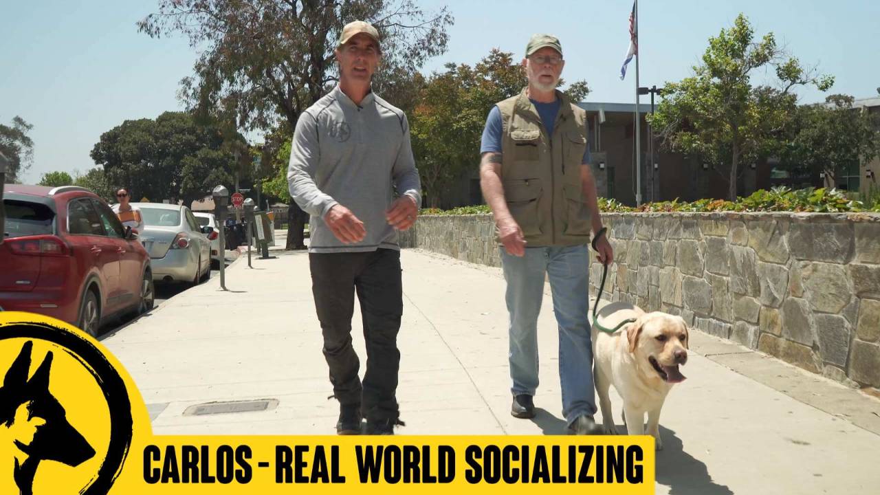 In Town, Real World Socializing with Carlos Day 2