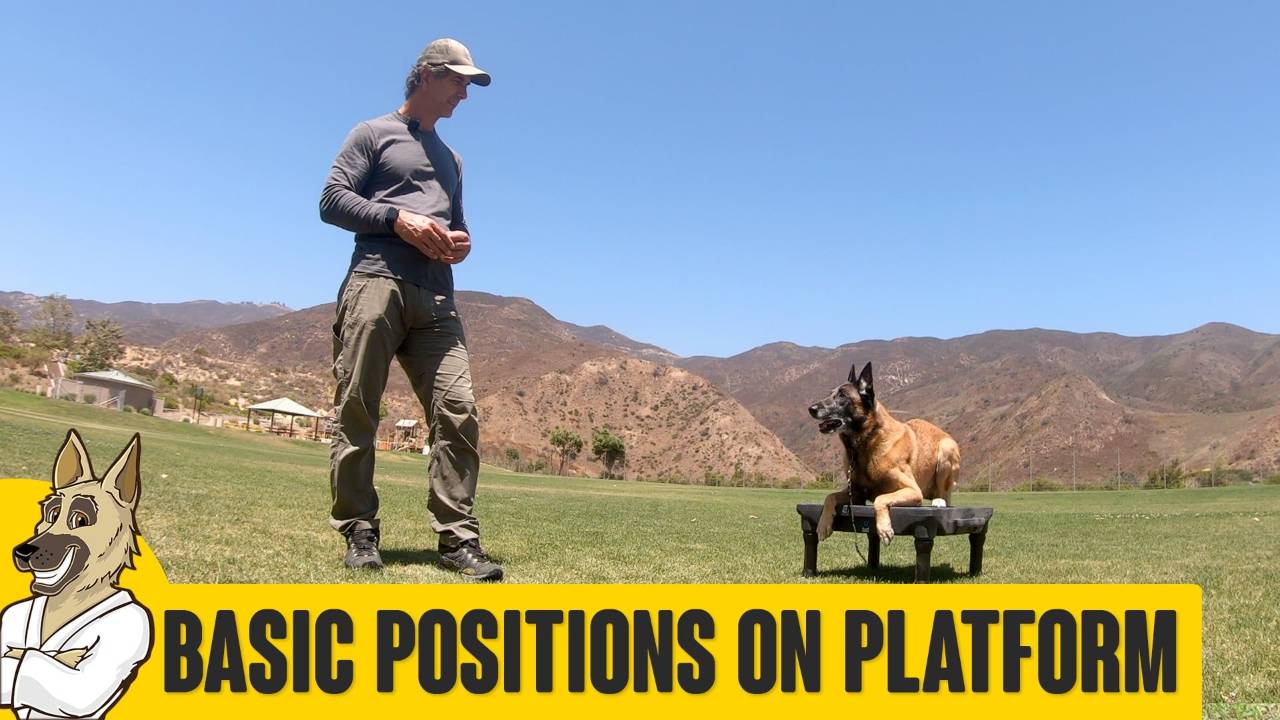Basic Positions on Platform