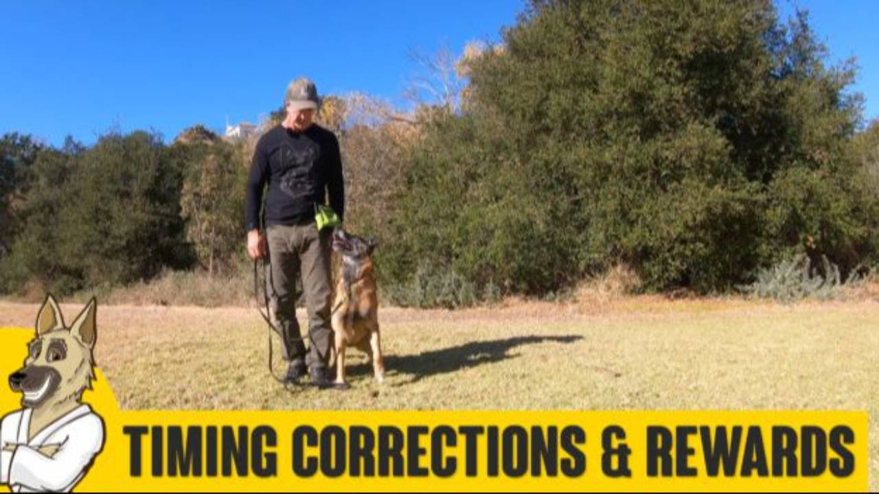 Timing Corrections and Rewards in Marker Training