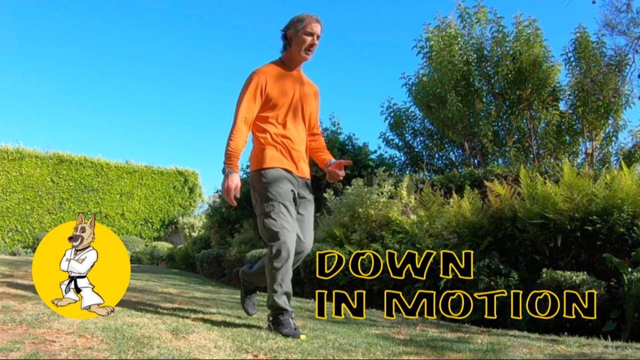 Down in Motion